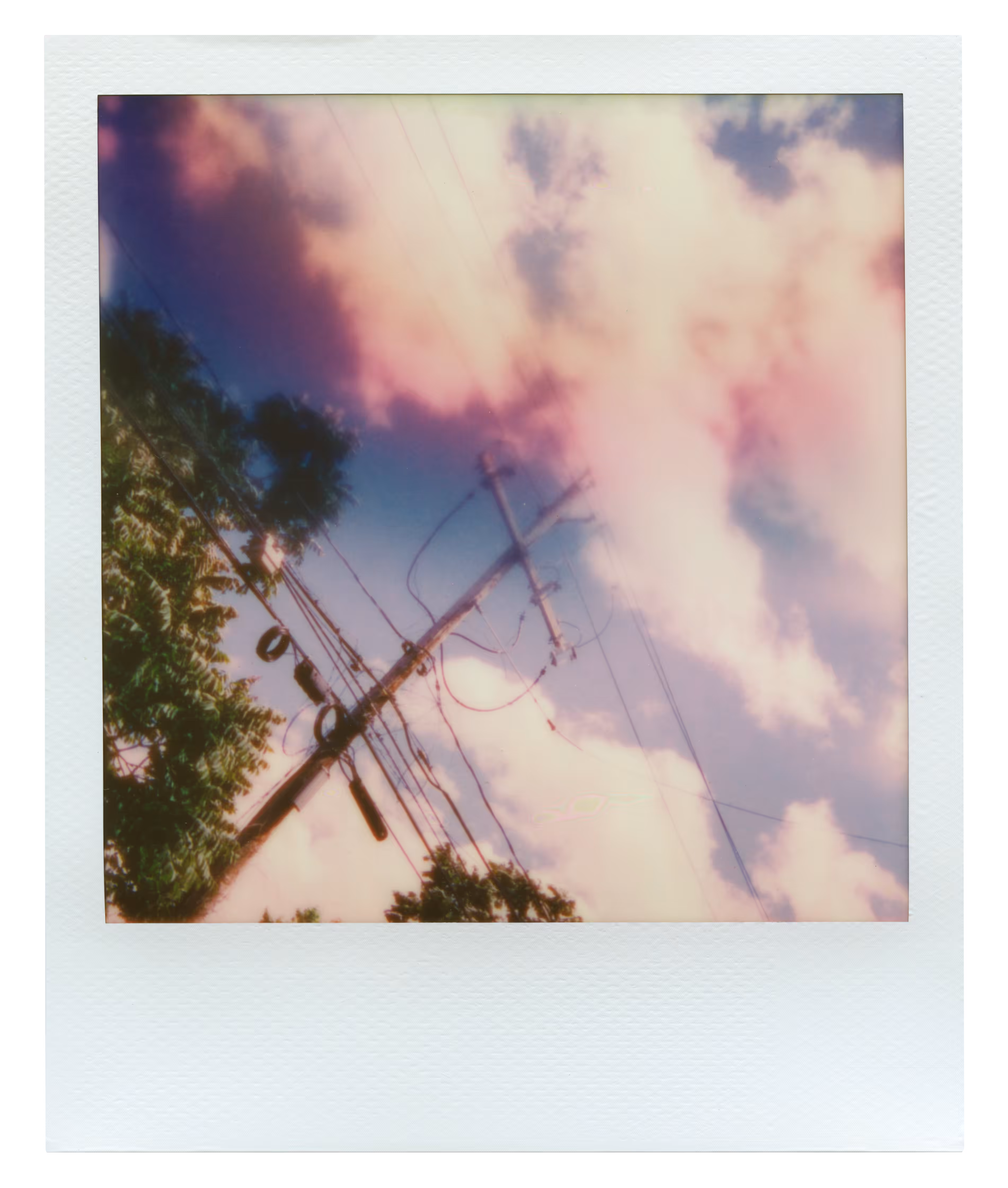 Manifestation