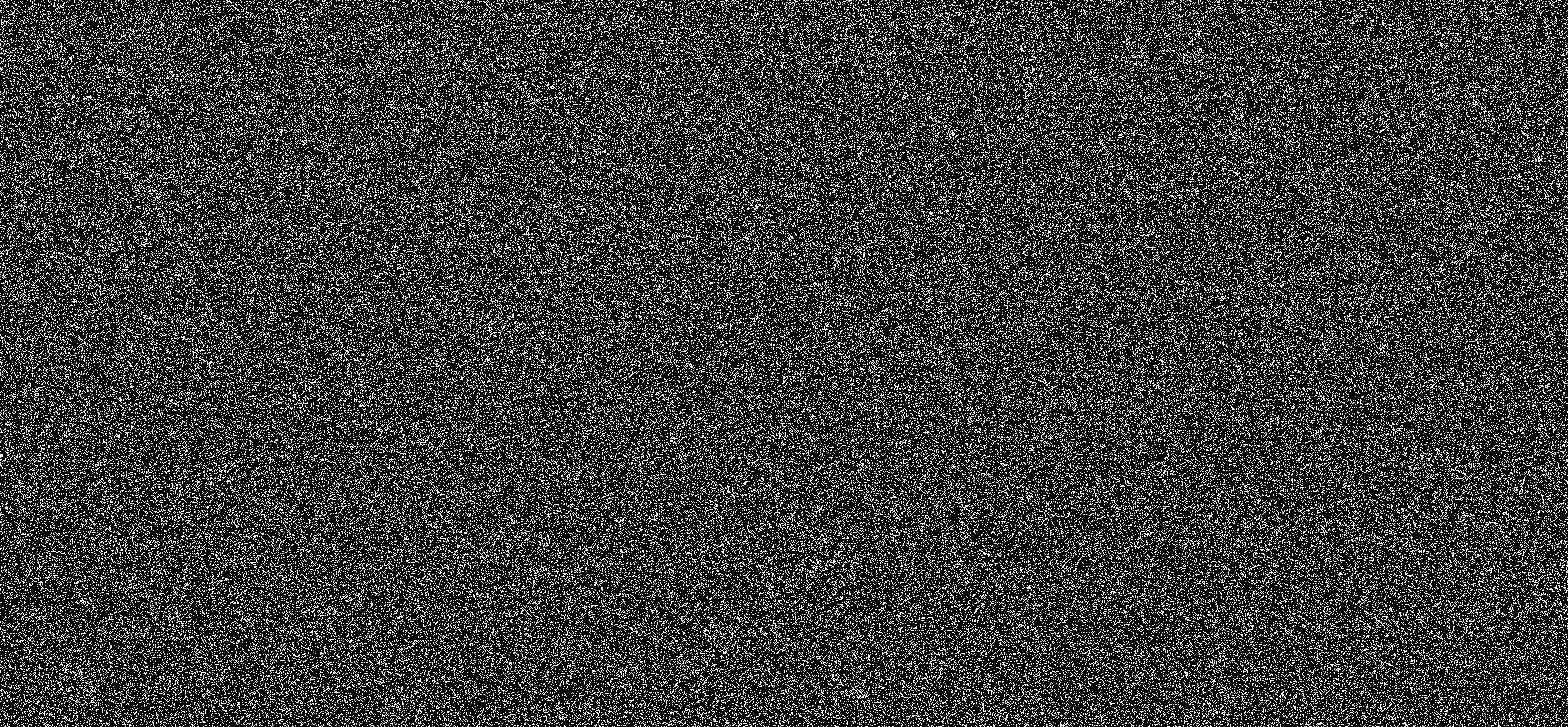 WE ARE NOISE