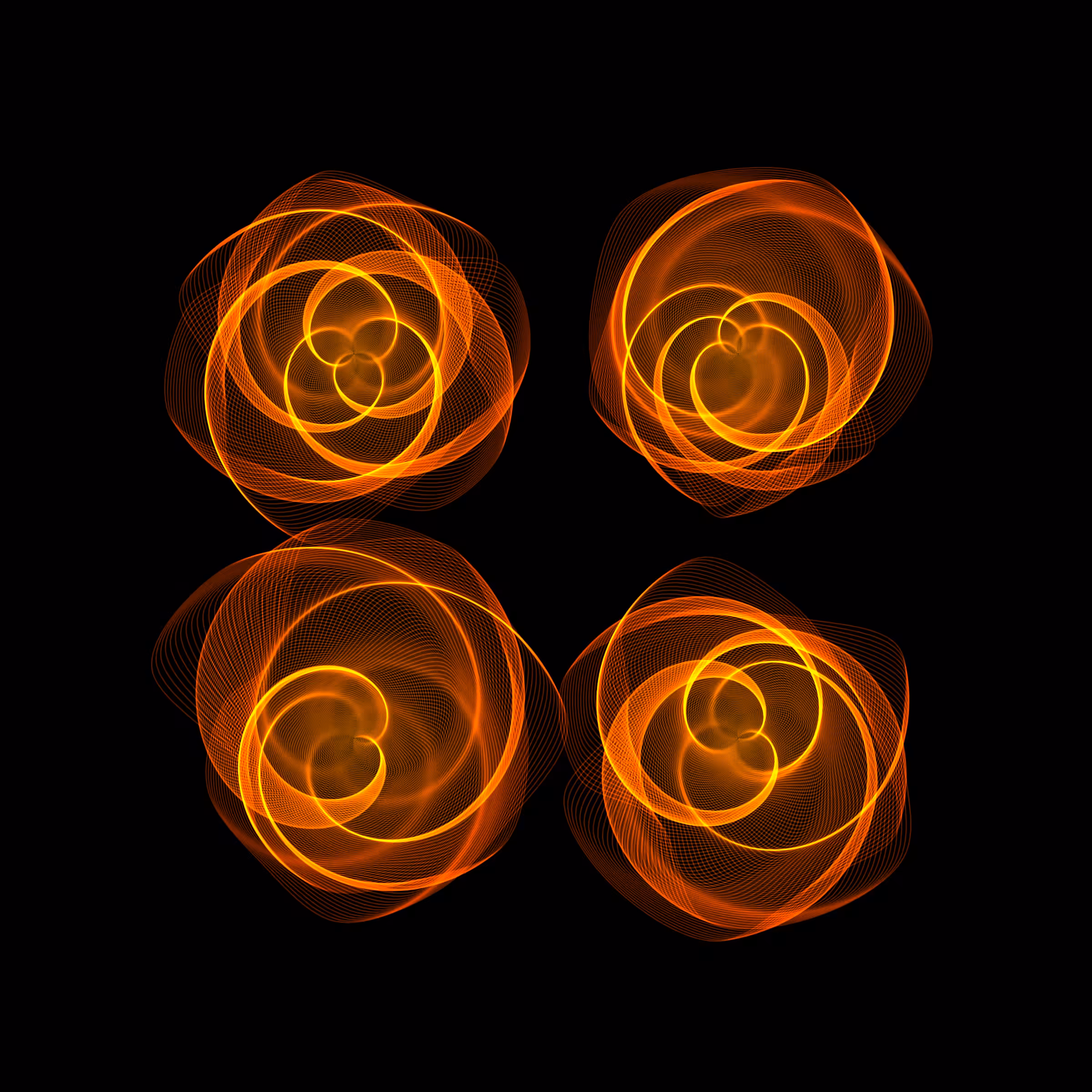 Flowers #5962