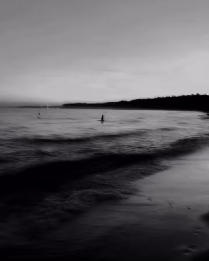 Sea you