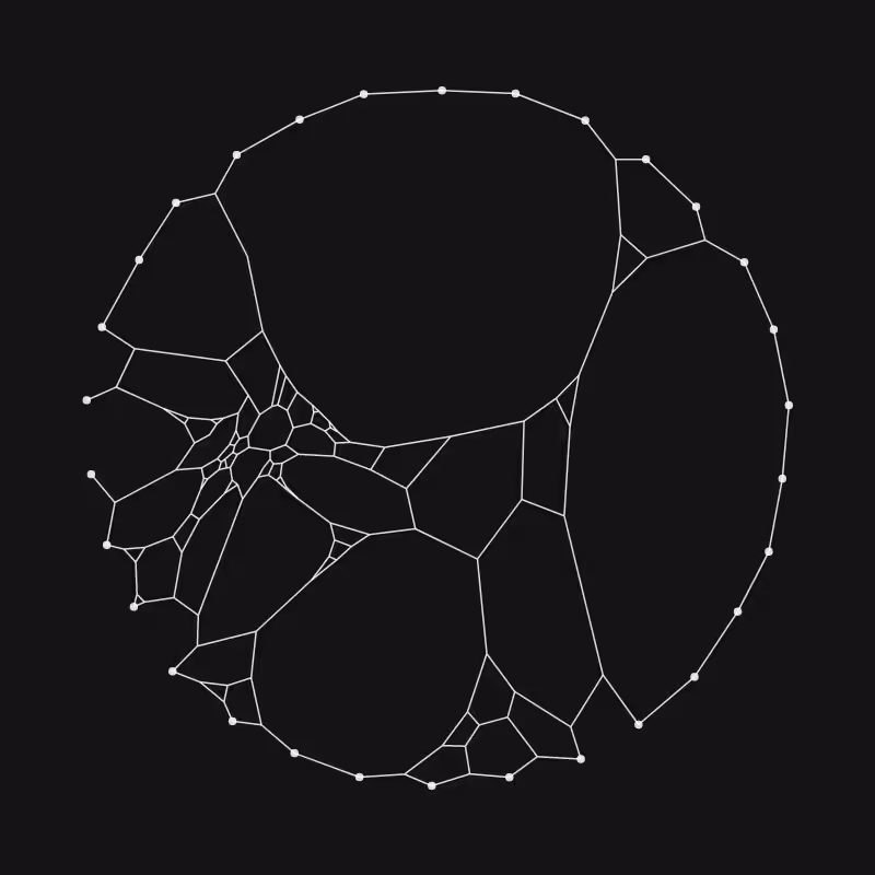 Elastic Web #266