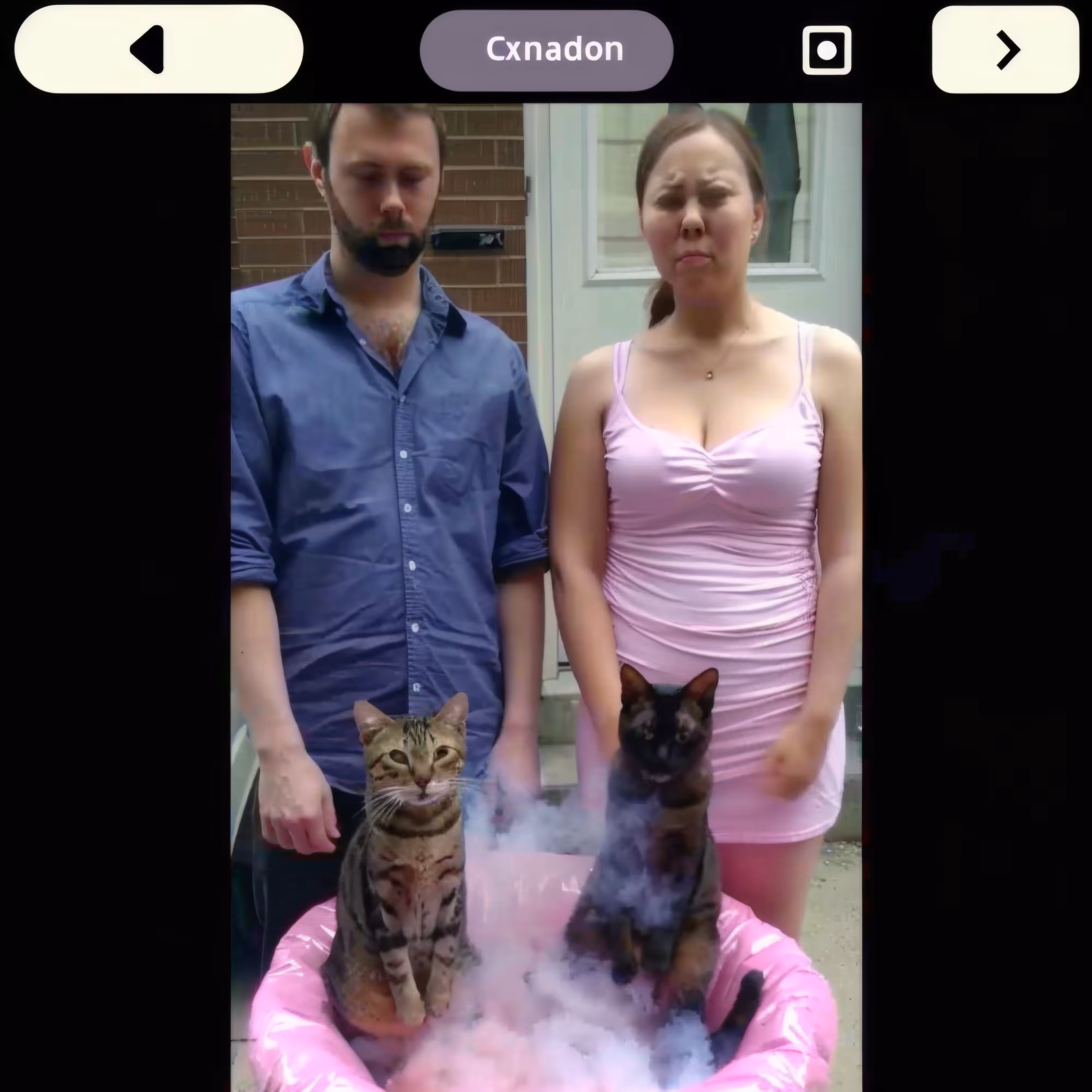Kitty-Spa