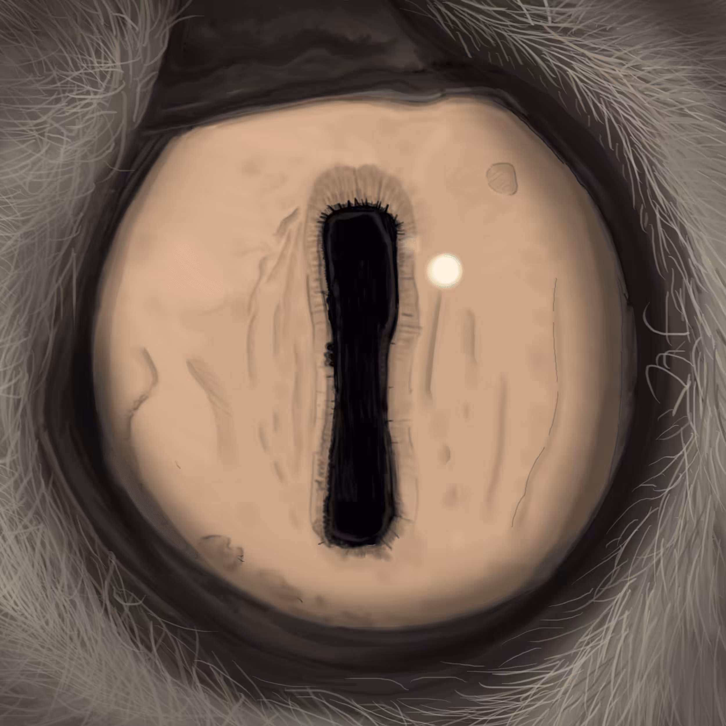 Goat Eye