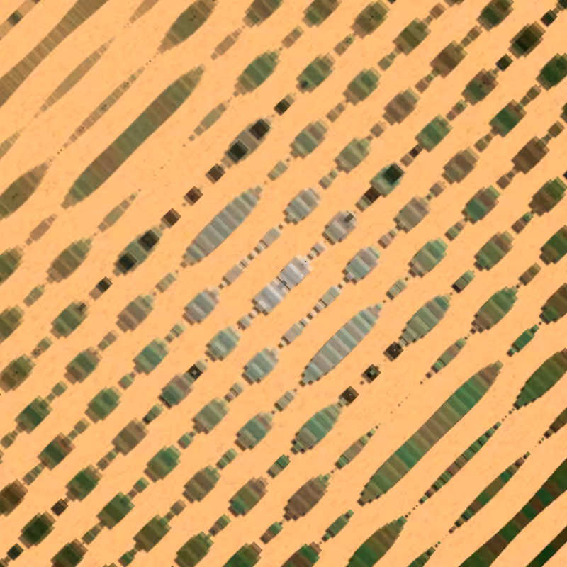 String Theory #7