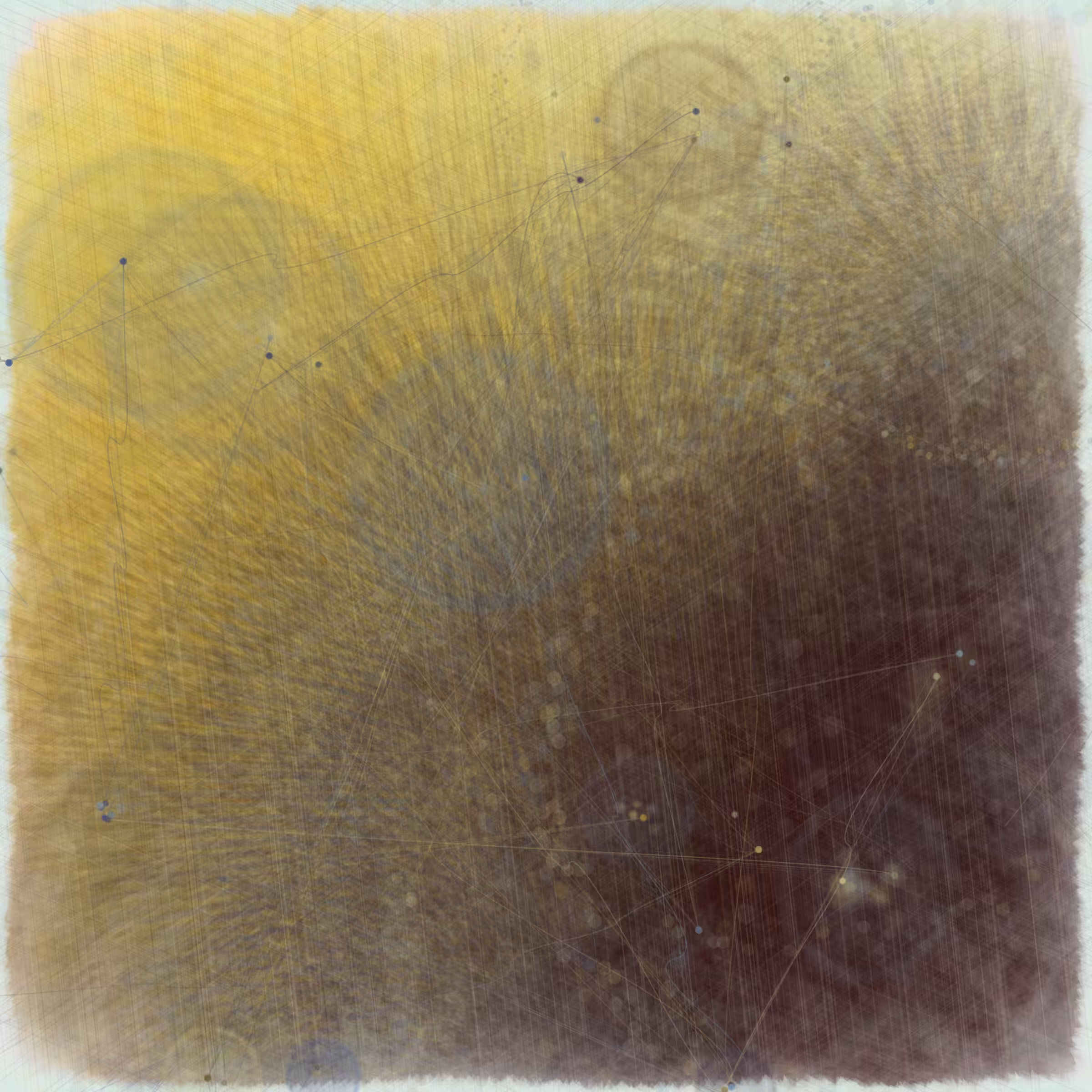 Reticulum