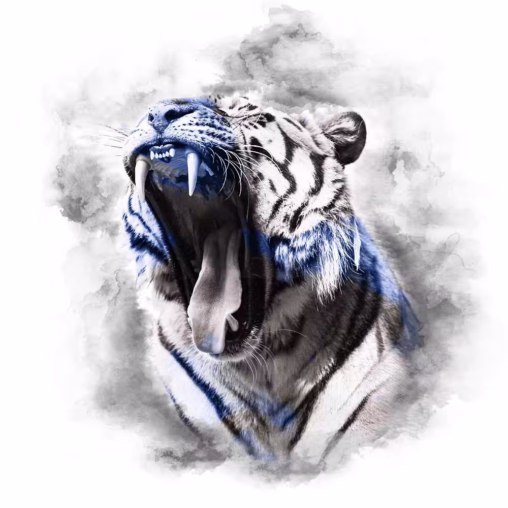 BLUE SERIES - TIGER