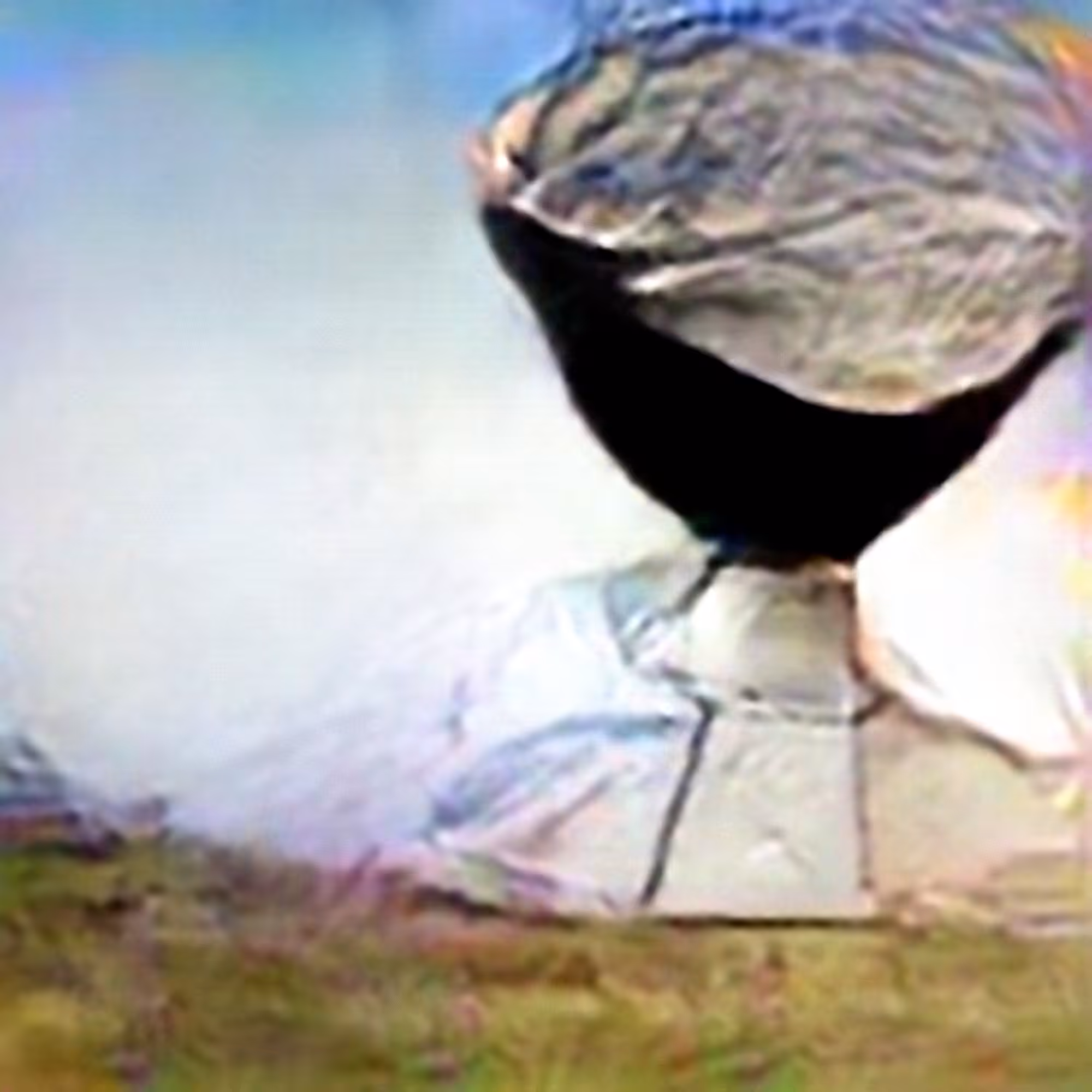 Evolved Hallucinations: Radio Telescope #4 (Corpus: From the Depths)