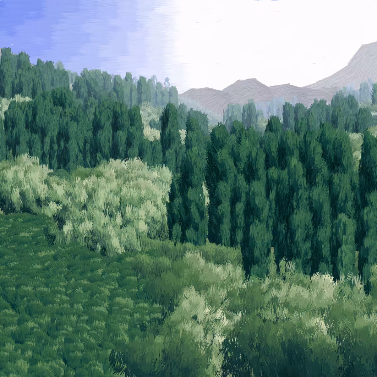 Provence #135
