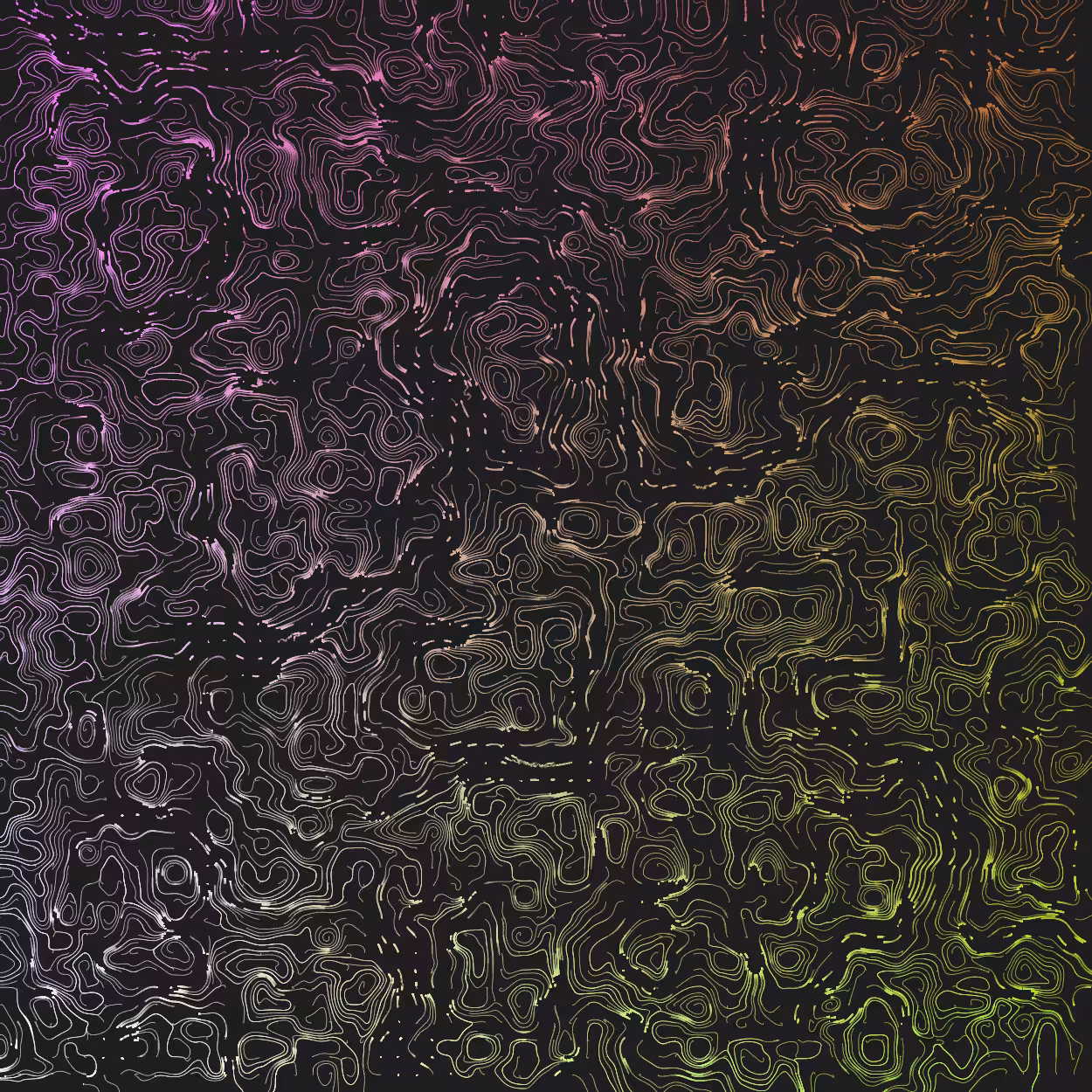 Topographic Lines #21