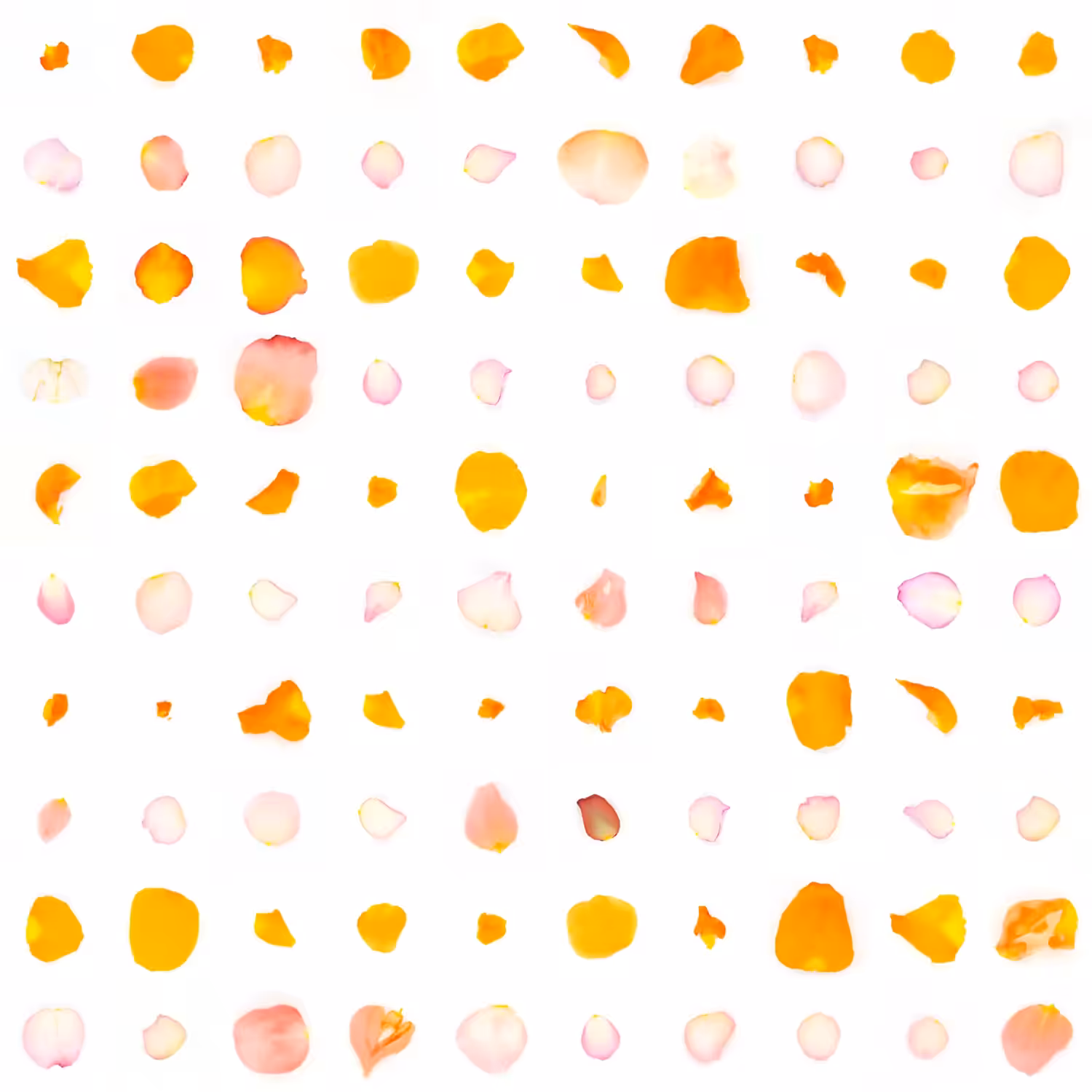 Infinite Petals 10x10#2758