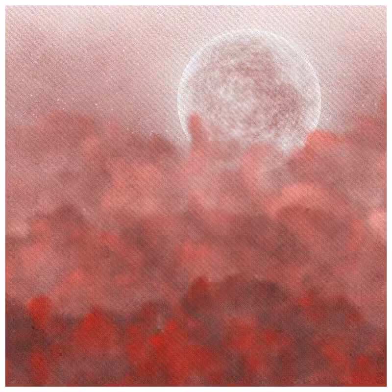 Rêve em Nuvens #18