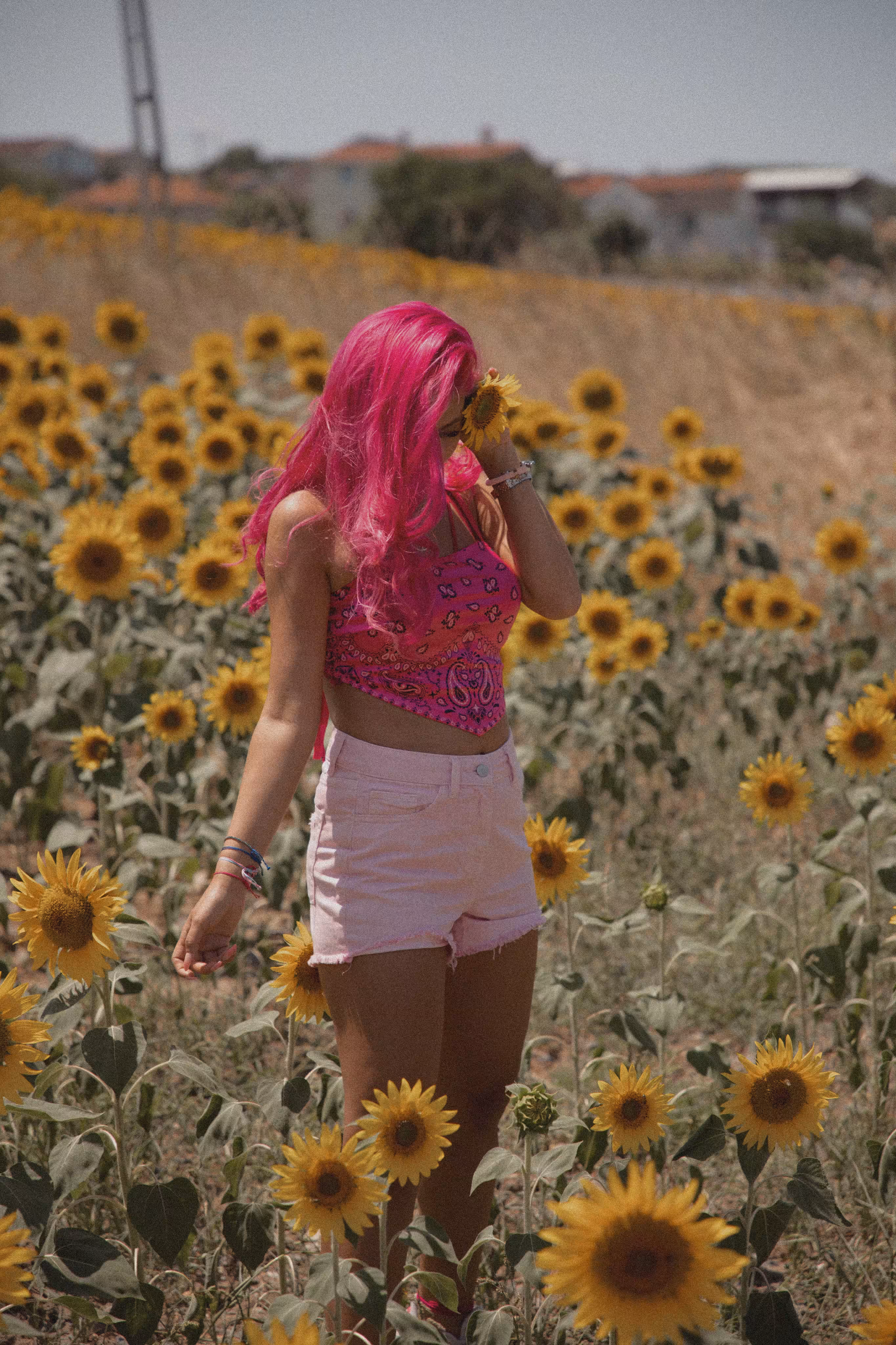 Sunflower 🌻