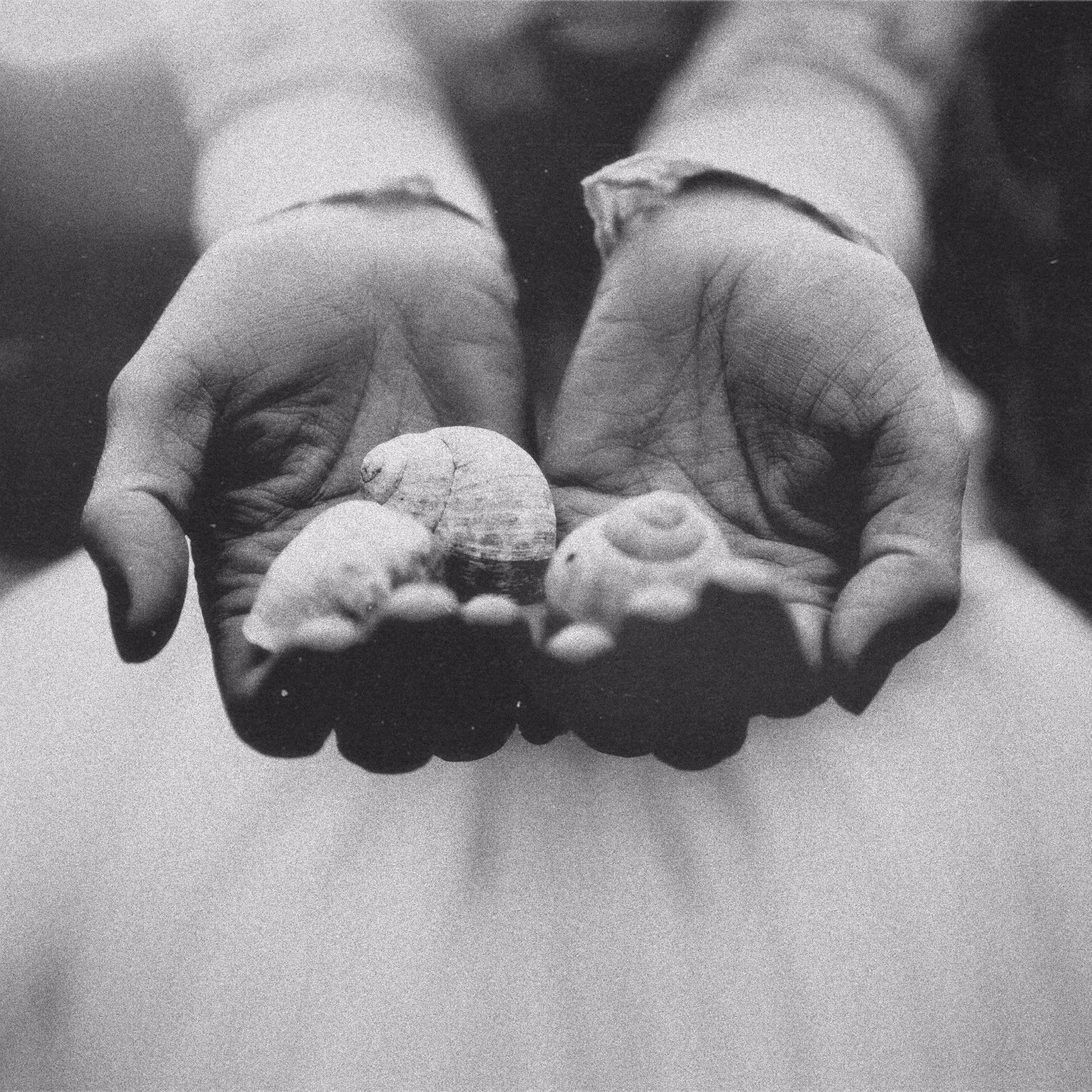 Hands noir shell