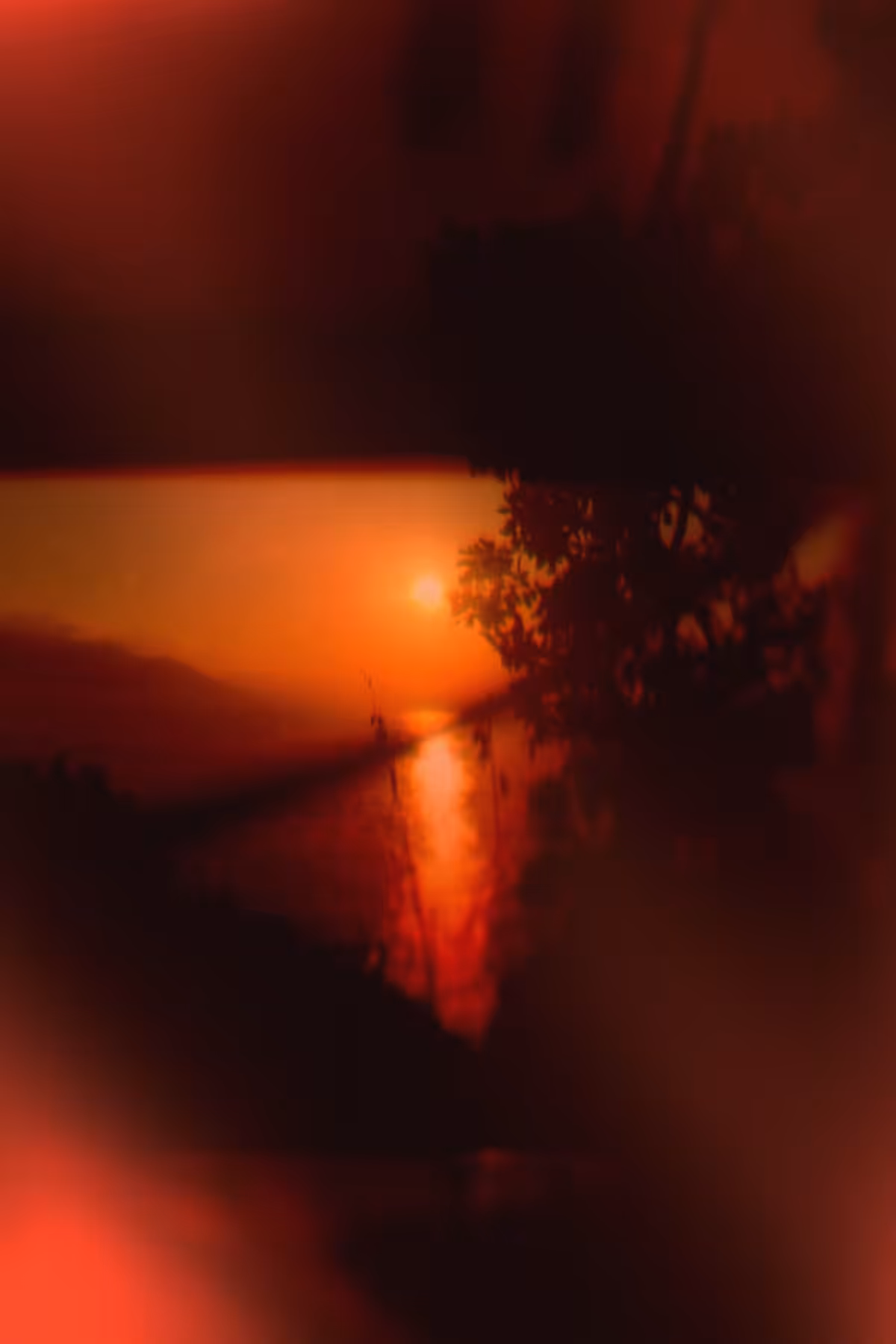 Diaries #39