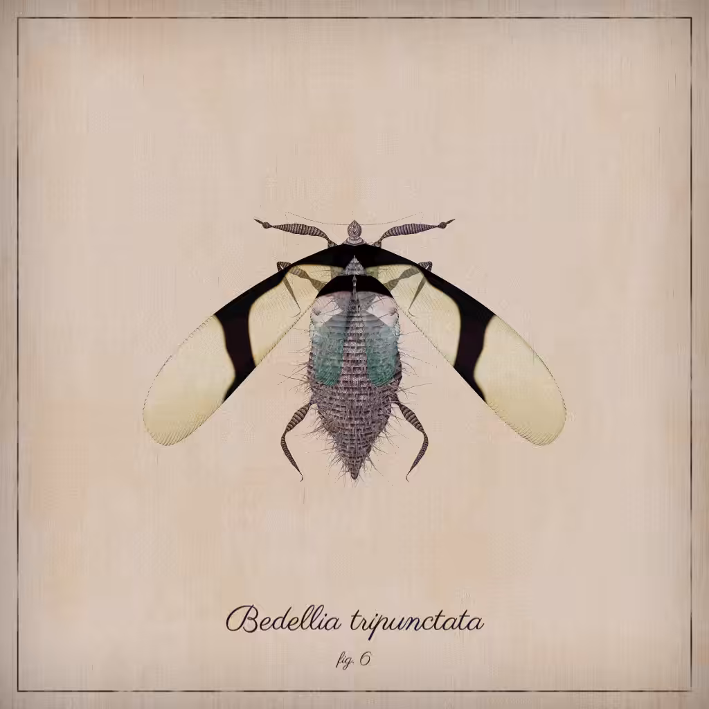 ProcGen Entomology #485