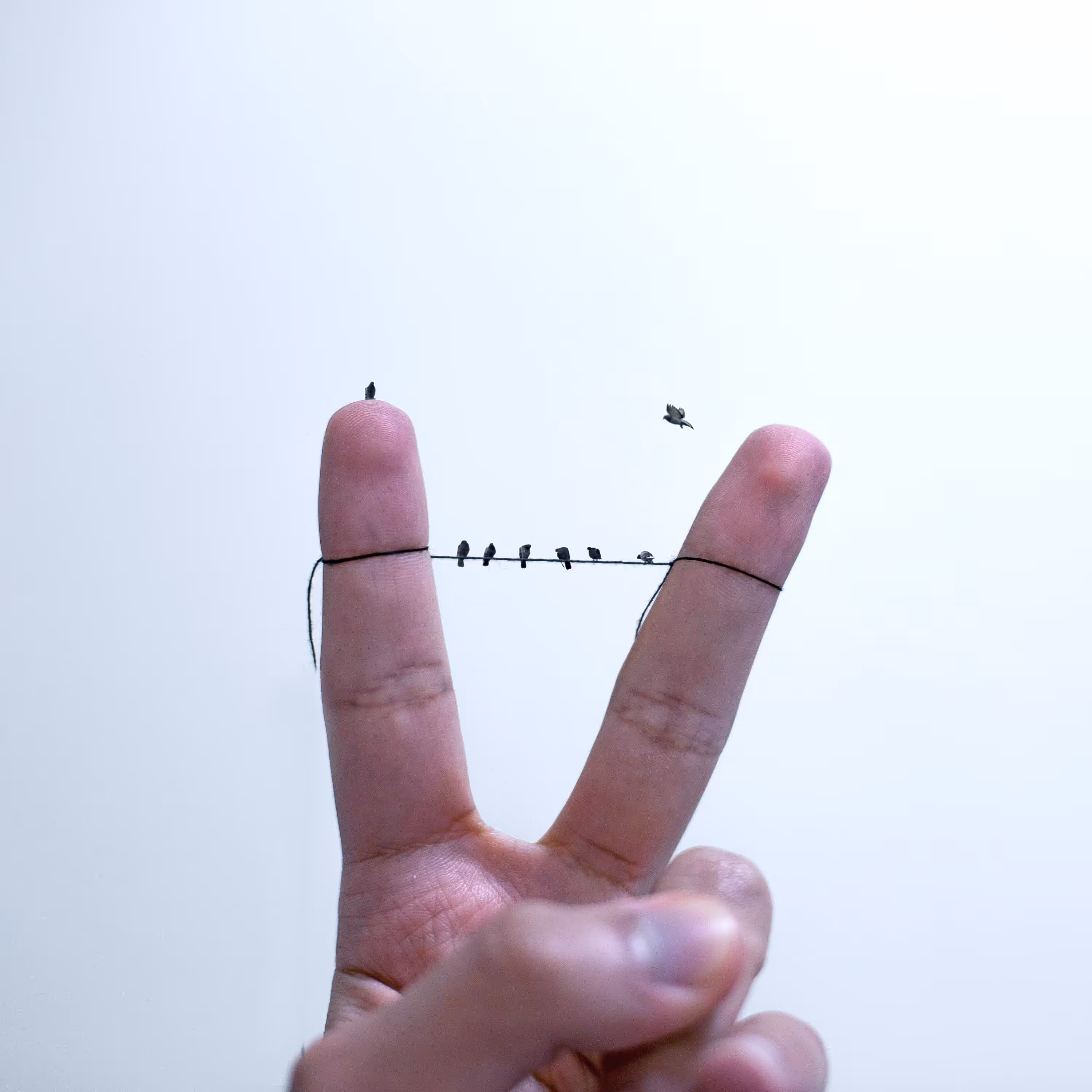 Peace