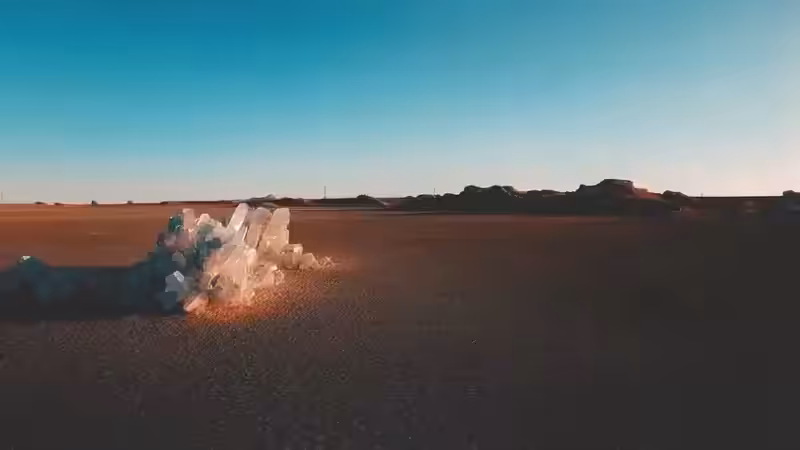DX01: SINGULARITY 01118