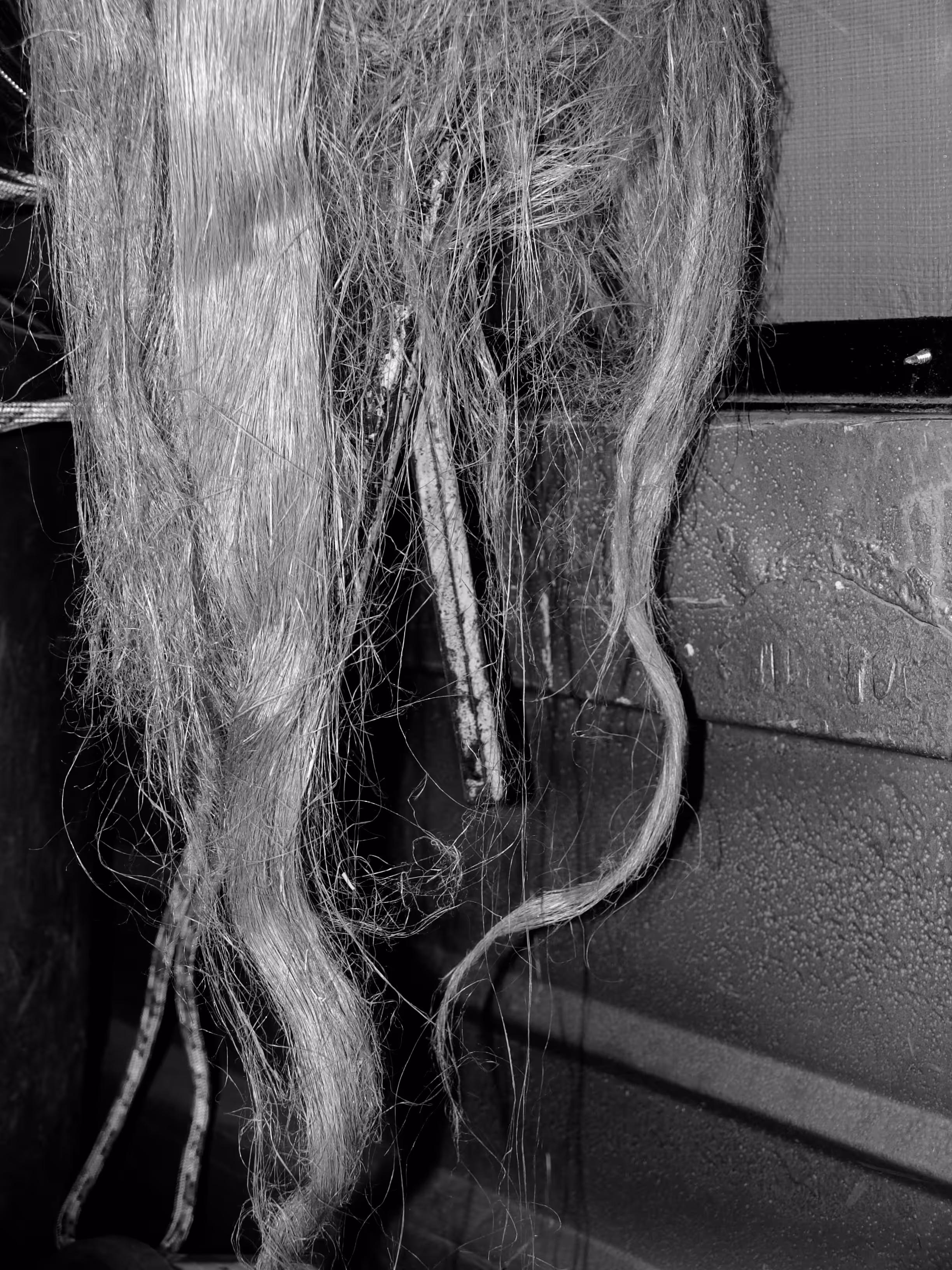 Unexpected Disfigure_05