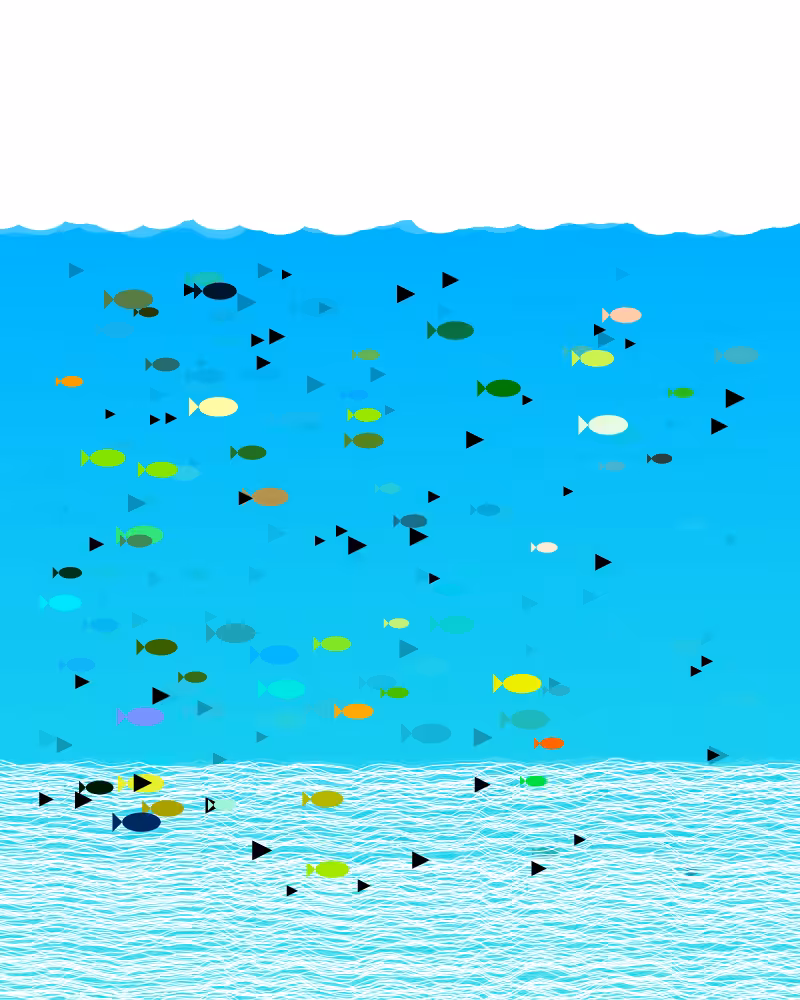 Flying Fish #4