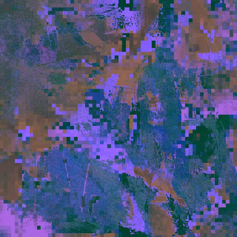 ππ’π₯π πππ¬ππ«ππππ’π¨π§ #2