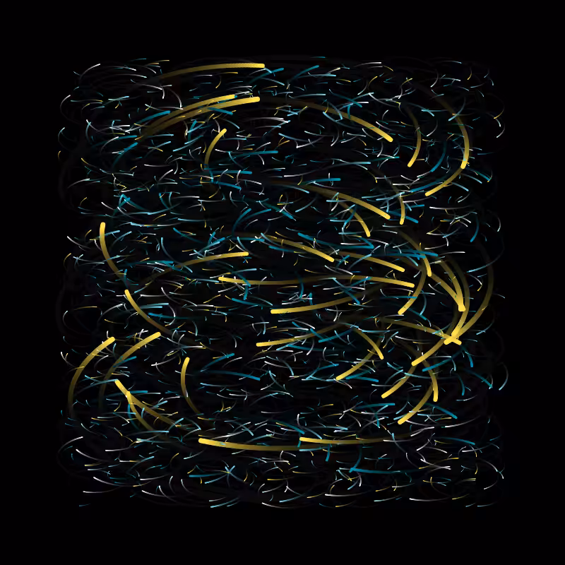 Lines Experiment #24