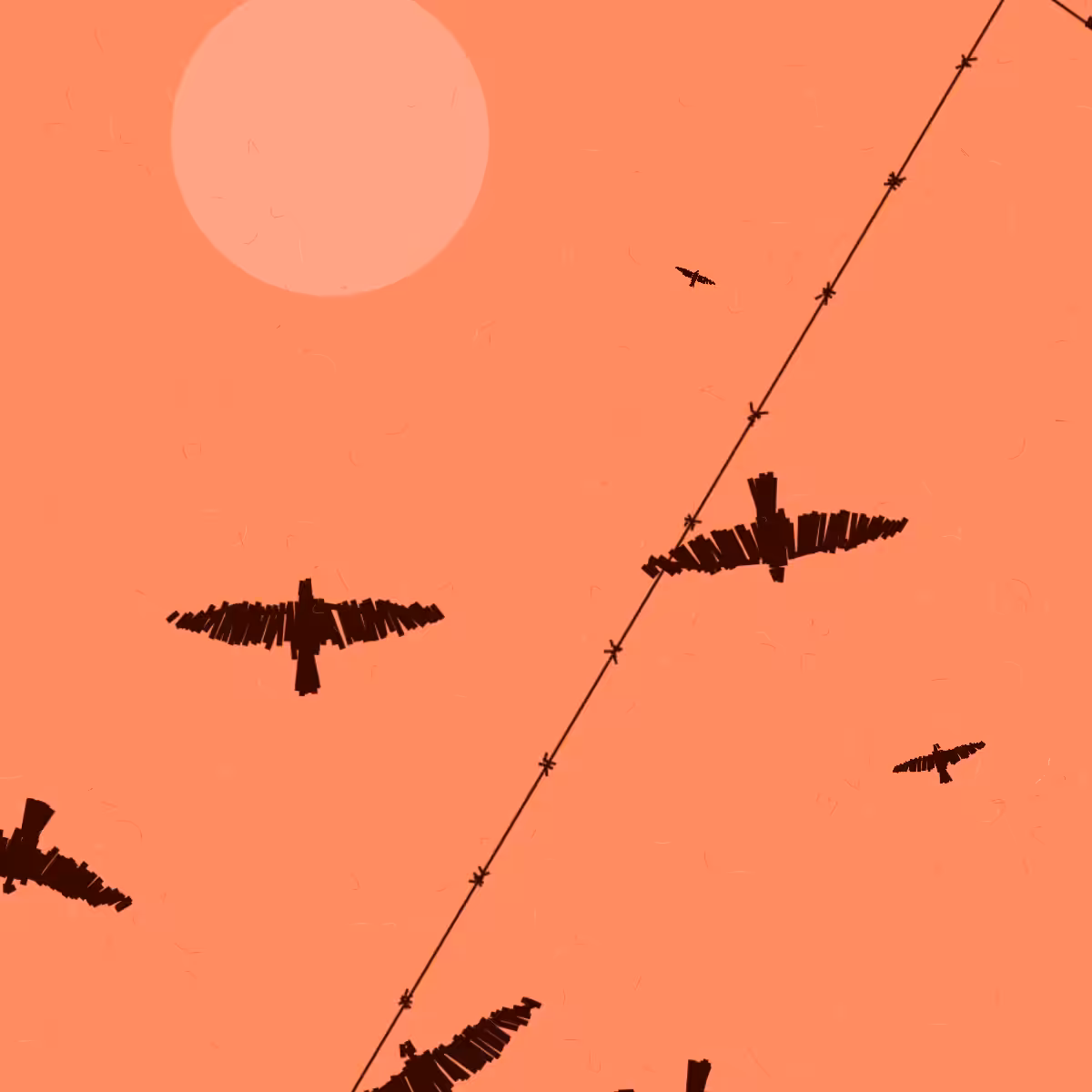 Freedom #58