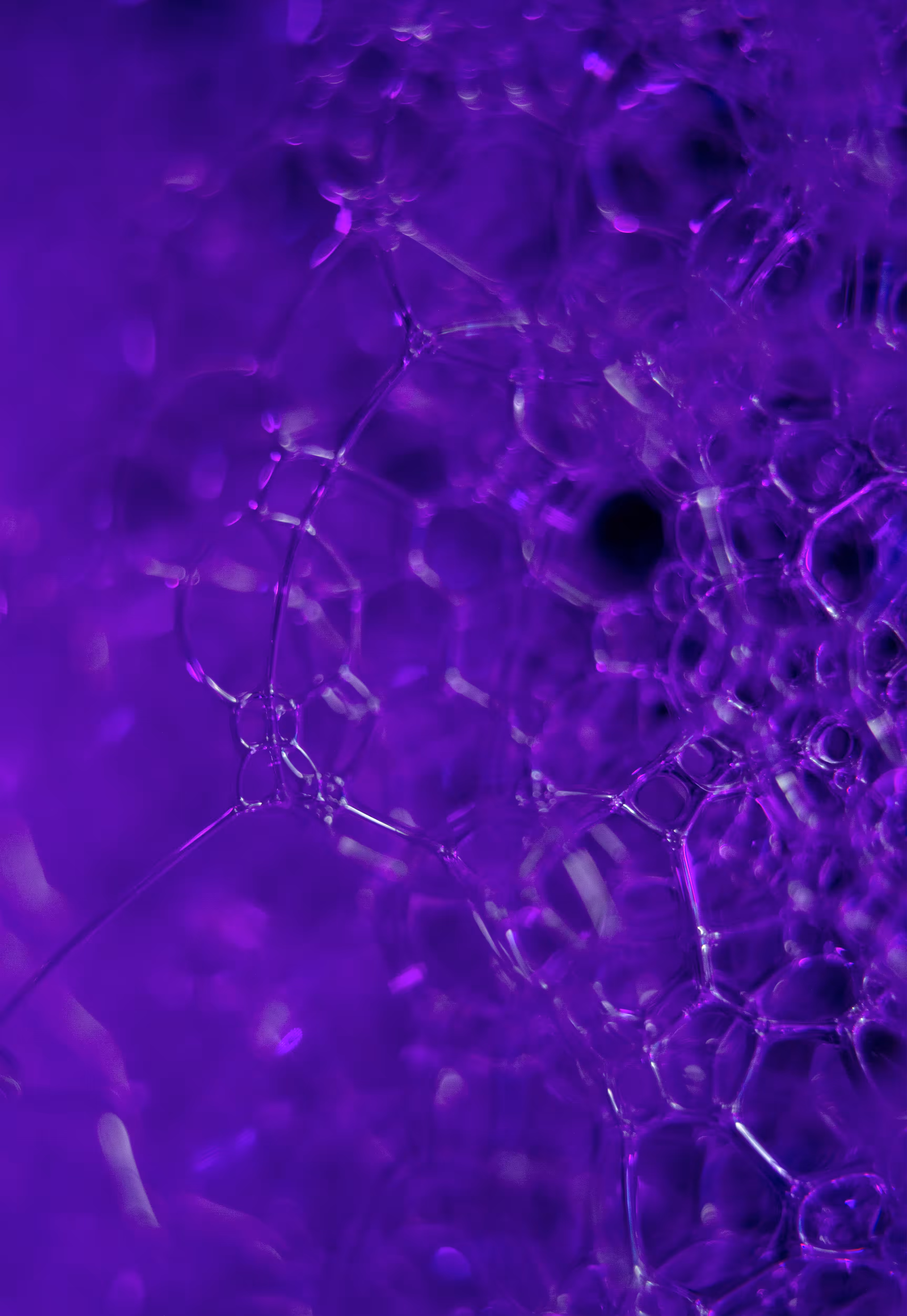 Abstract World of Soap Bubbles: #227 Bubbles