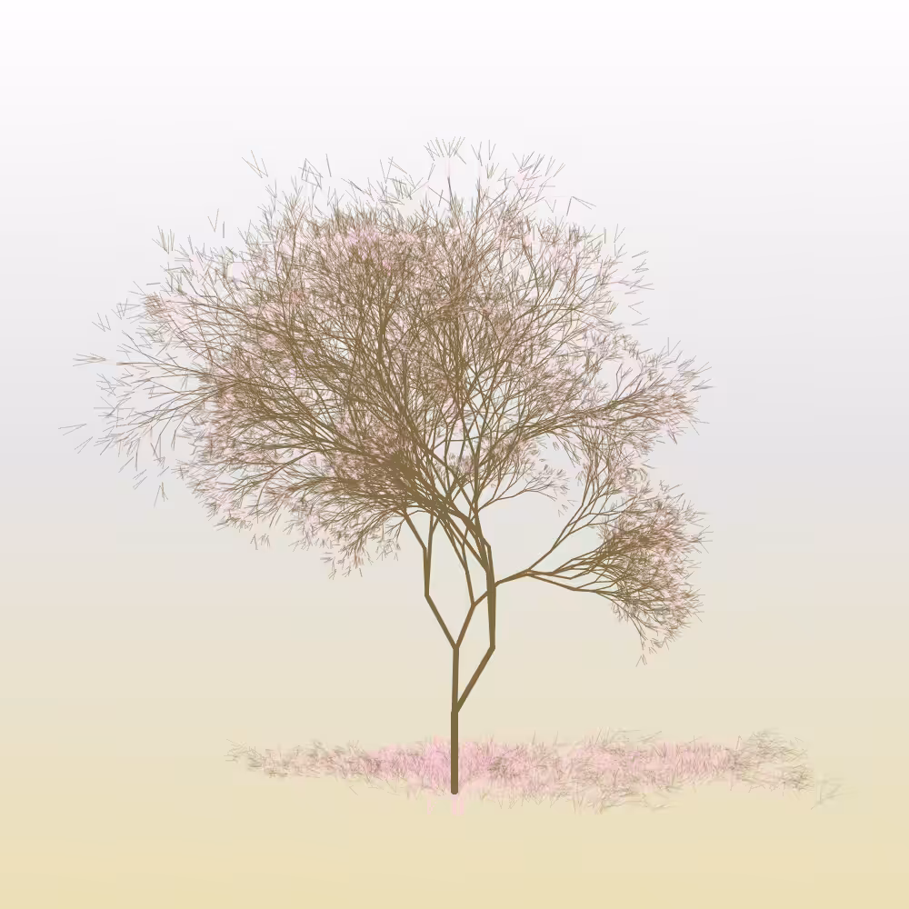Hanami #6