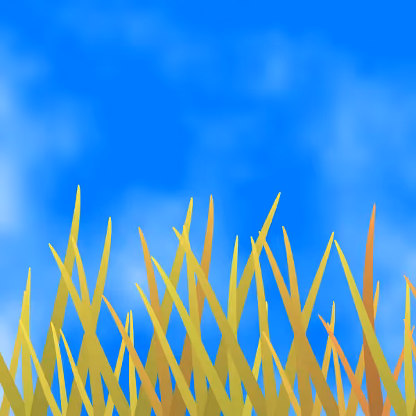 Fields of Ukraine #24