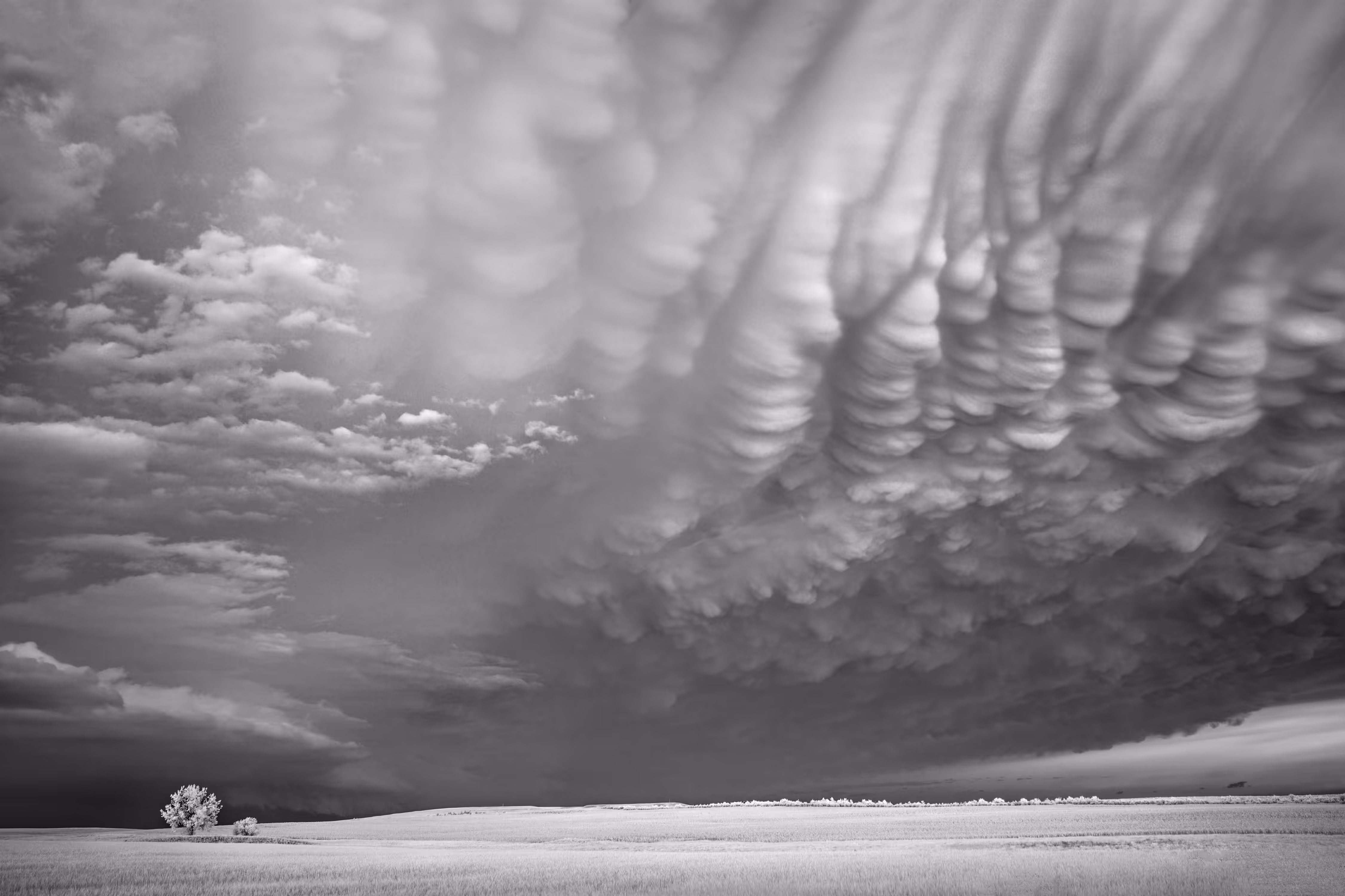 Storms - Mammatus and Trees