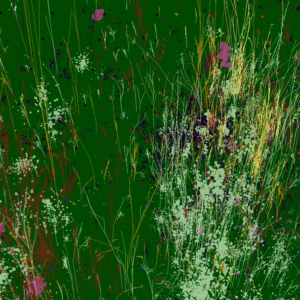 Infinite Garden: 15314 Flowers