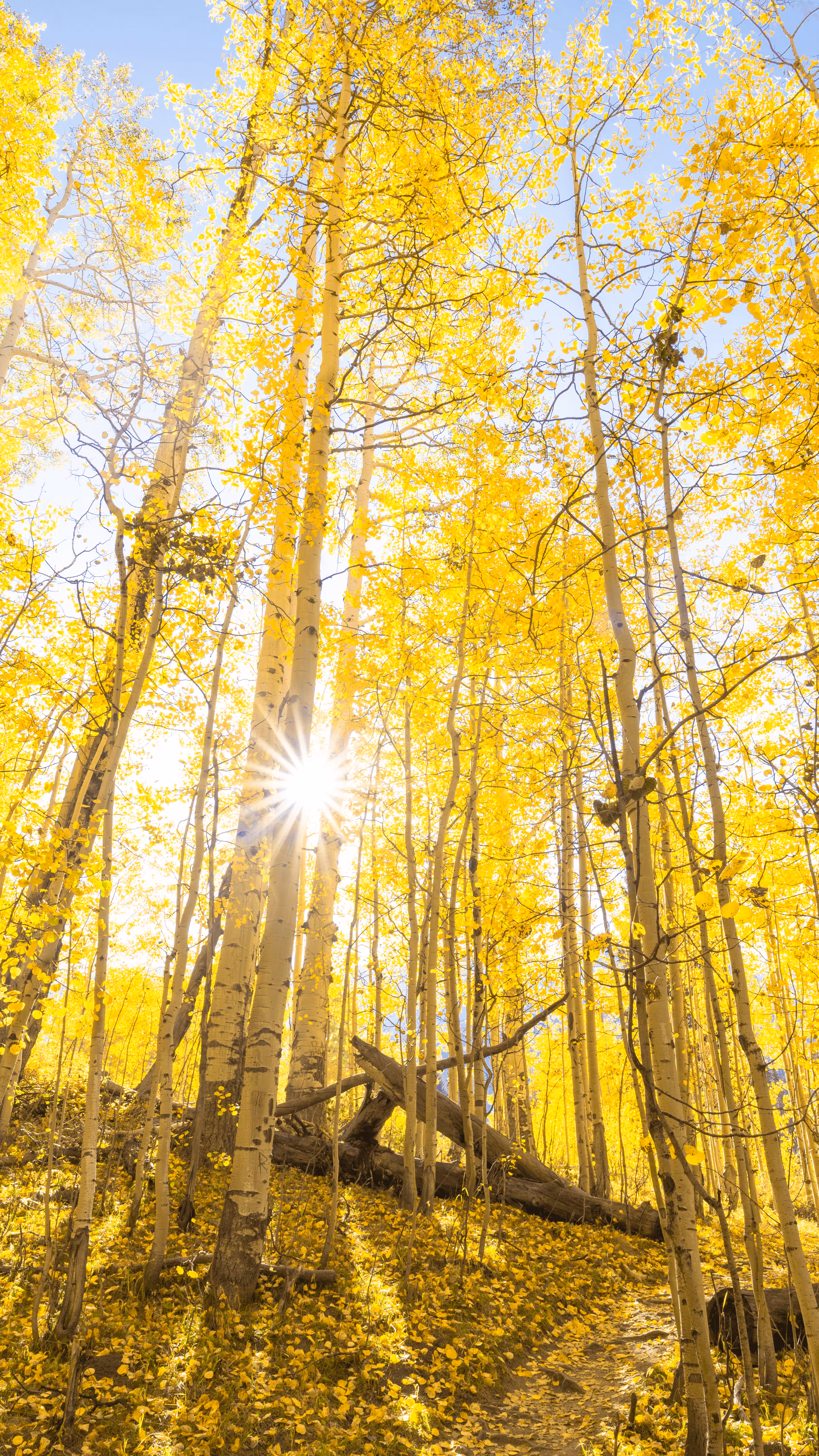 Colorado Lanscapes #20 