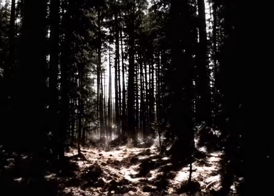 Lost Along The Beaten Path