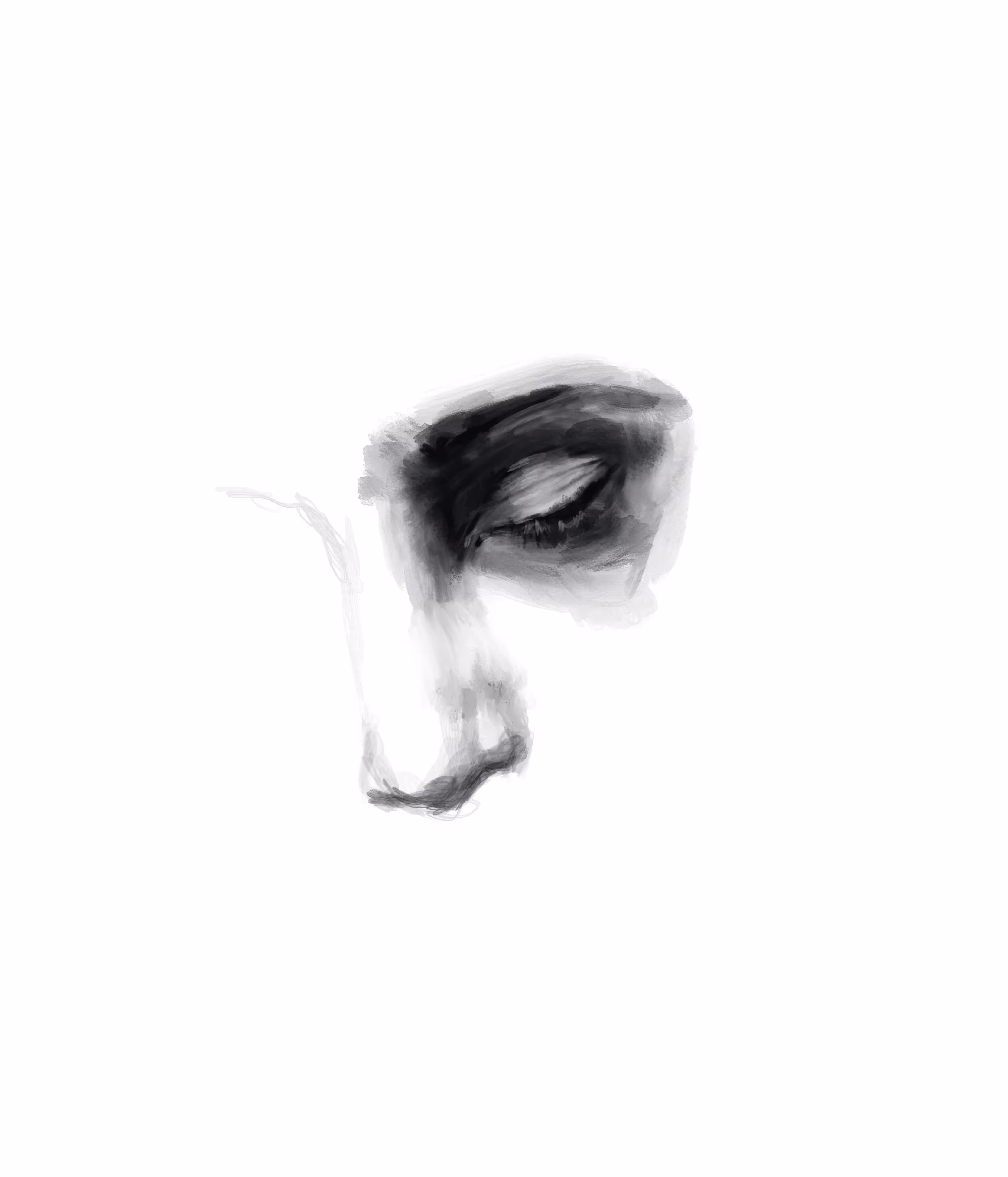 Study with digital charcoal