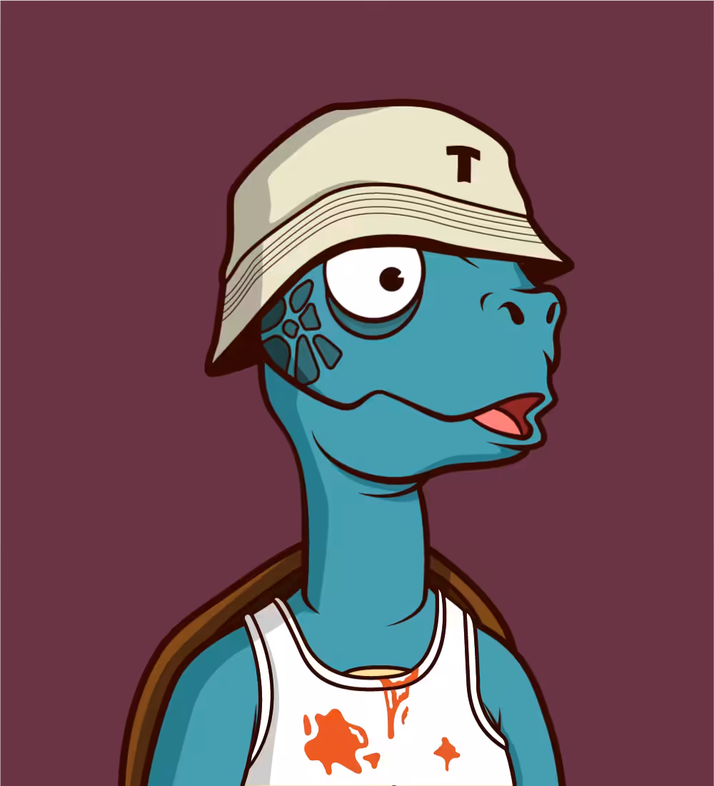 Tiny Turtle 66