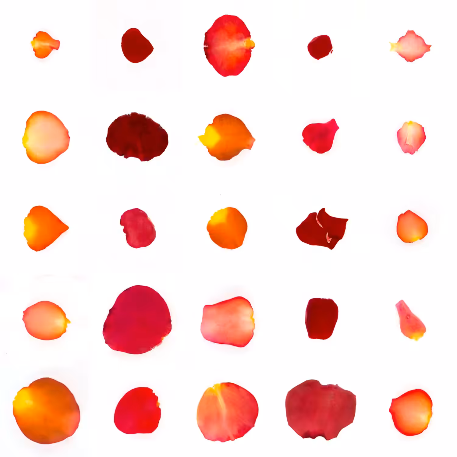 Infinite Petals 5x5#20939
