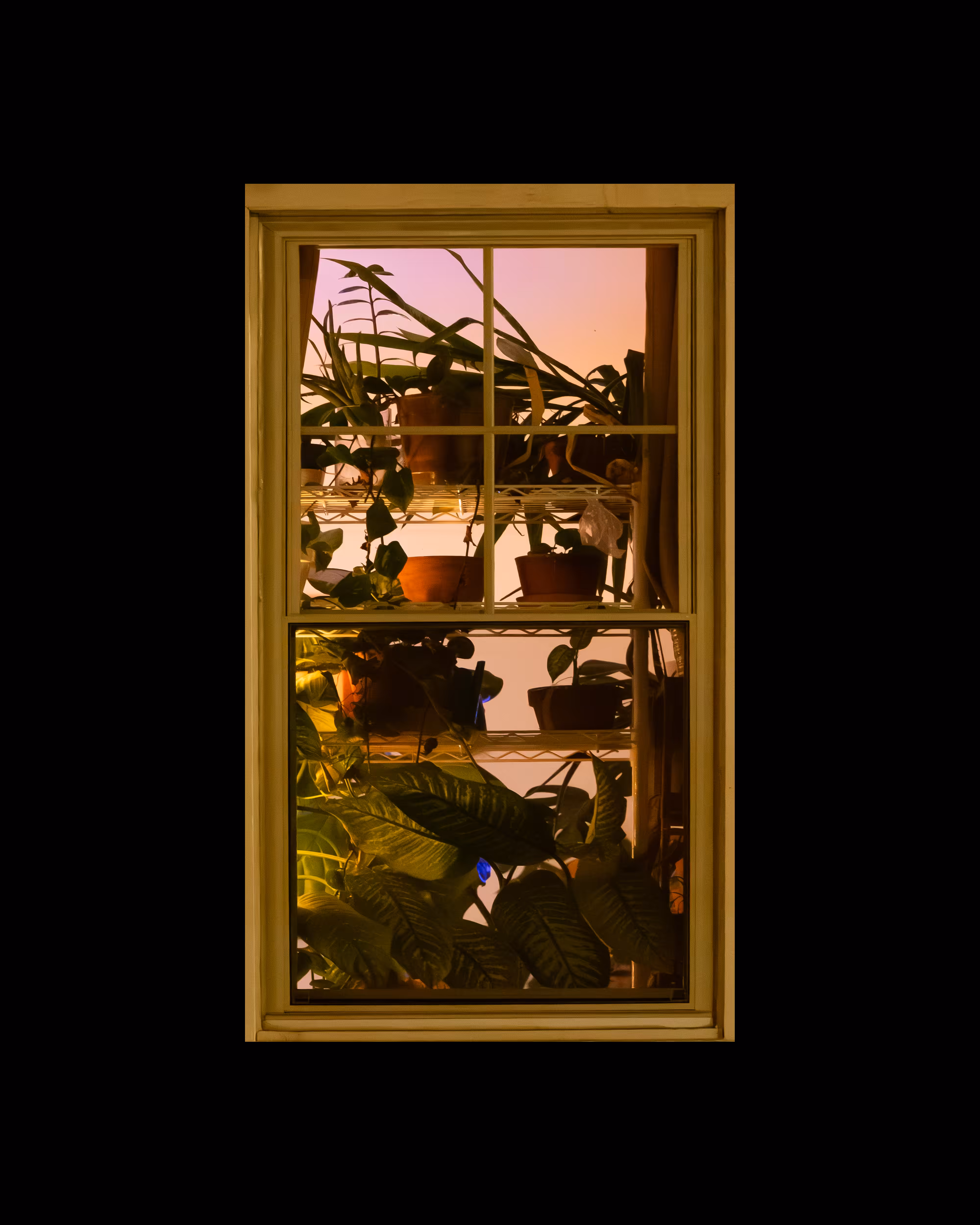 WINDOW 874