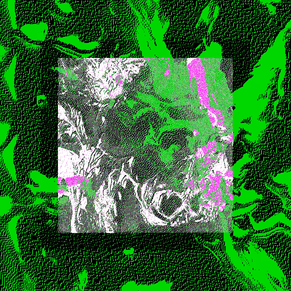 CHX-1 #209