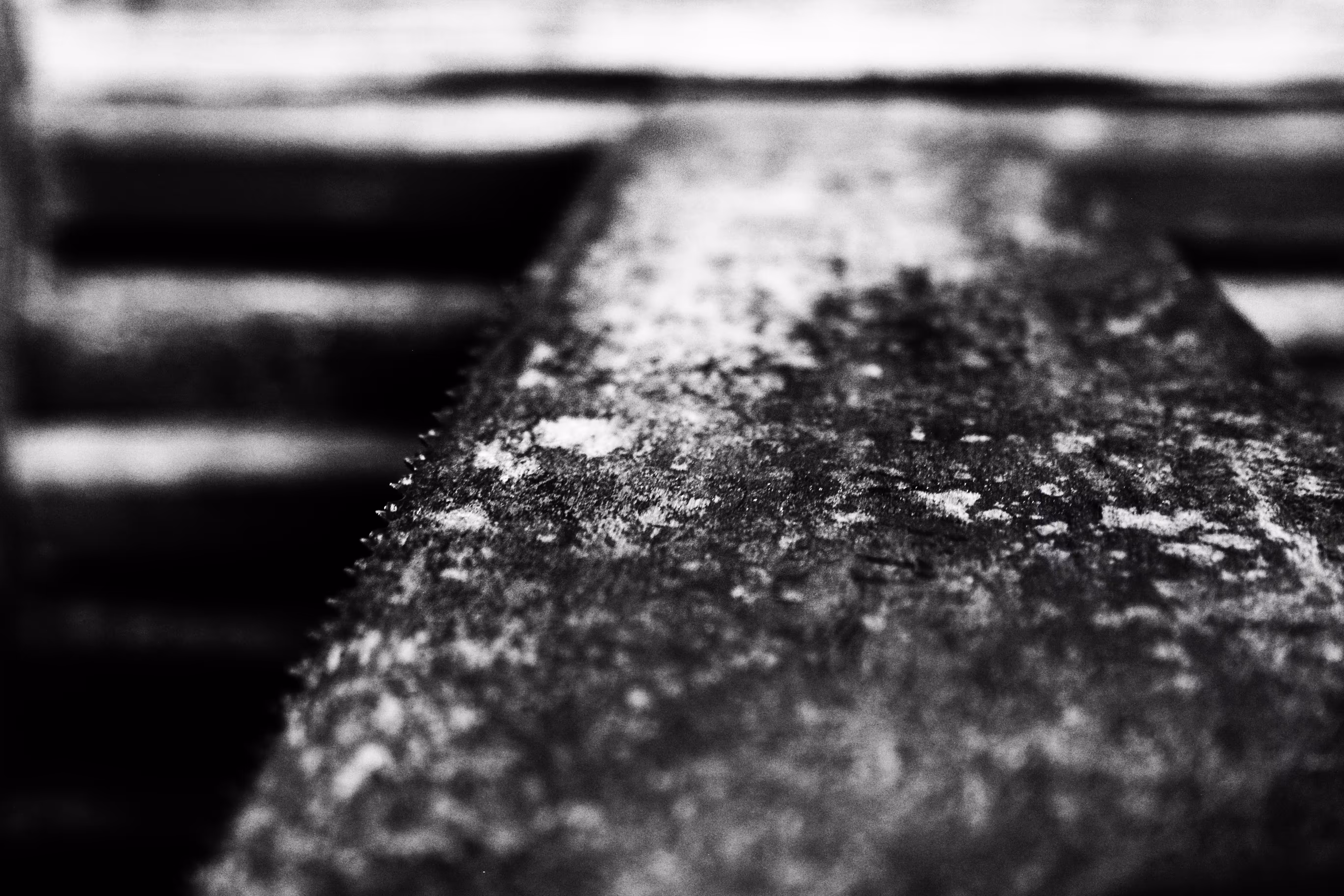 _lonelyroad