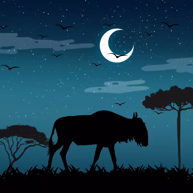 We Care...Wildebeest #6