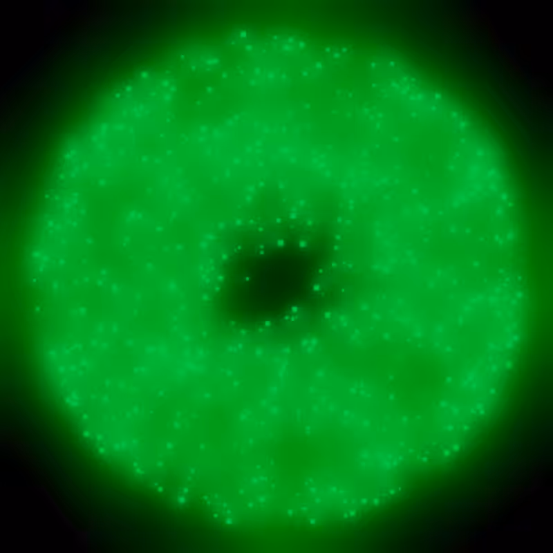 Petri Dish #20