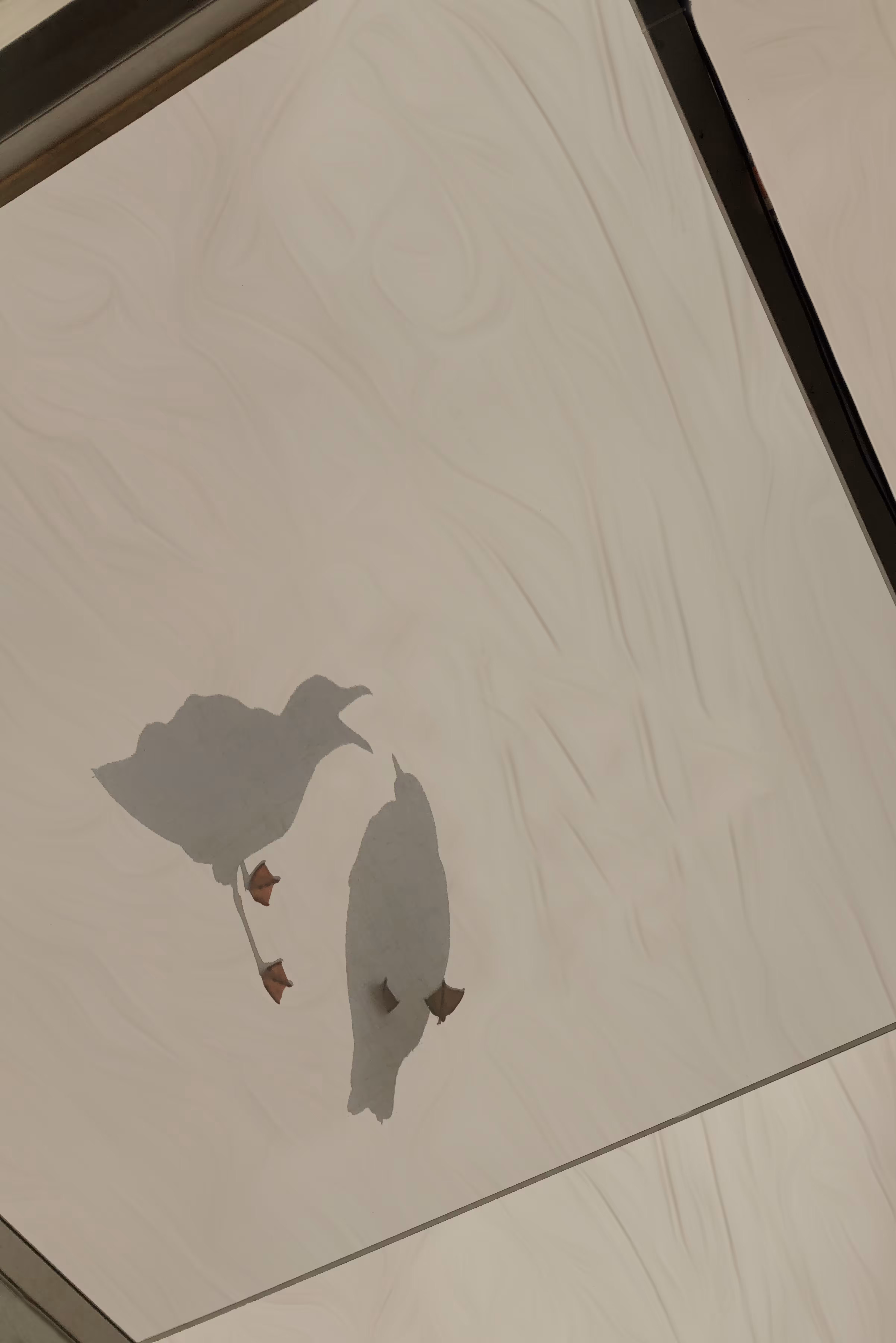 Seagull Encounter III
