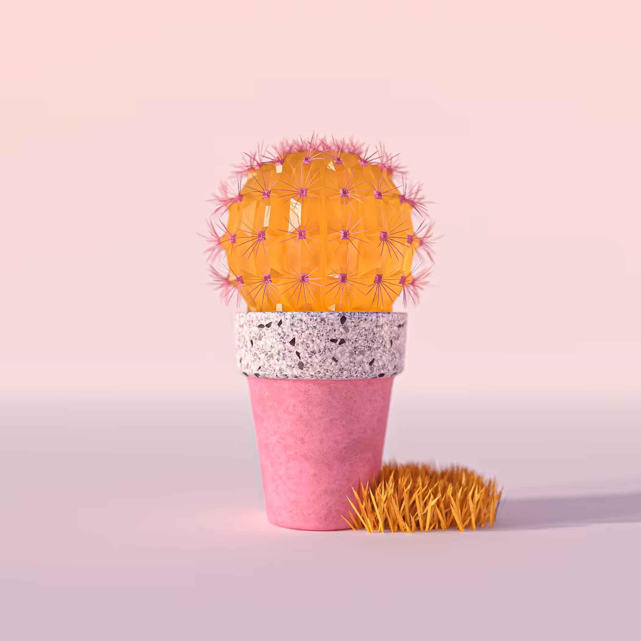 Pink & Yellow Cactus
