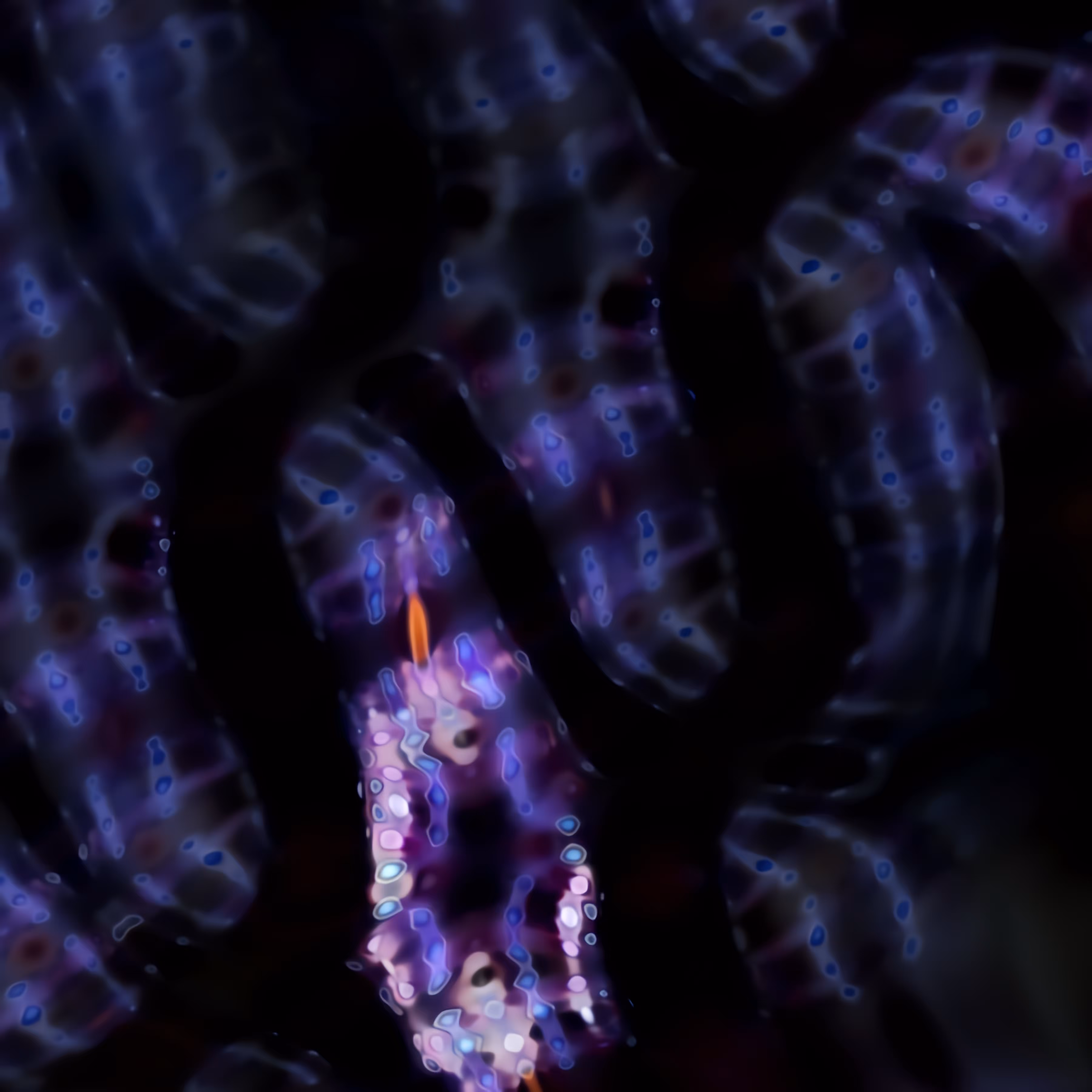 {Compend-AI} 2022 #5