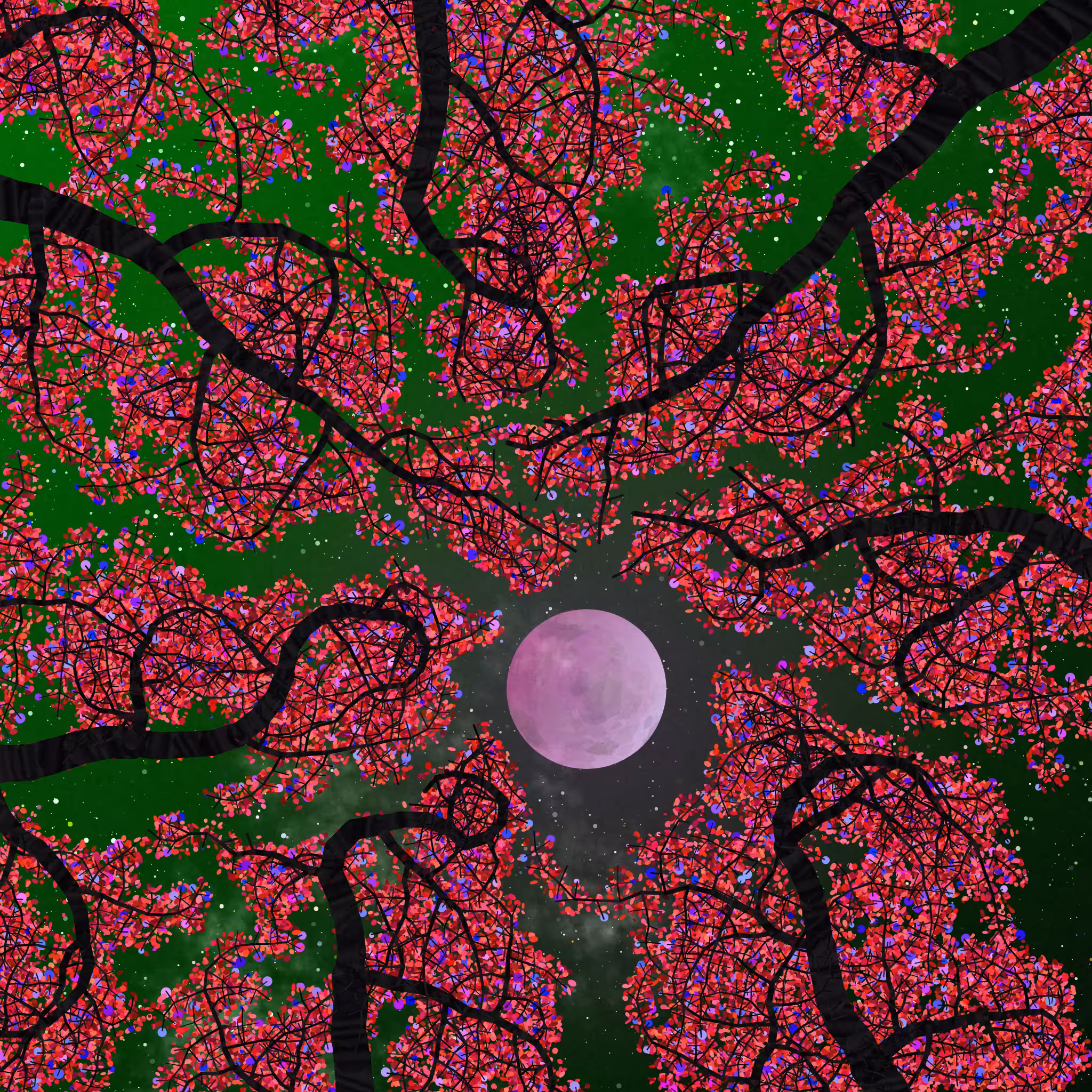 Tree Skyness #82