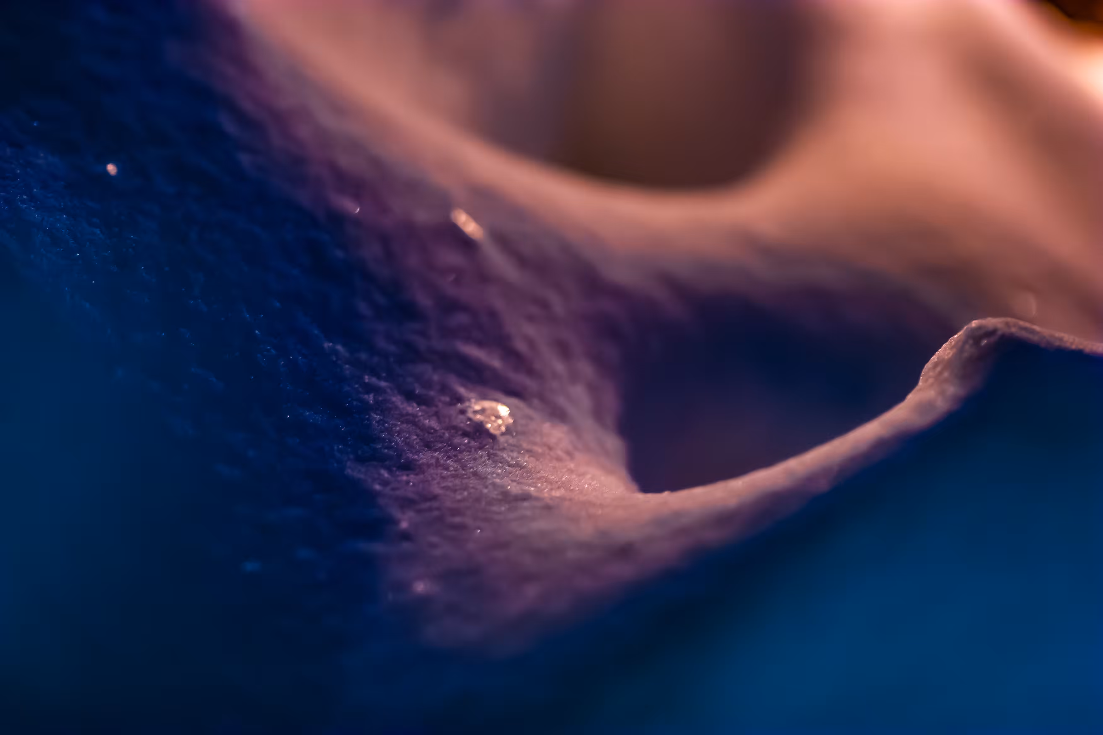 Tiny Landscapes 07