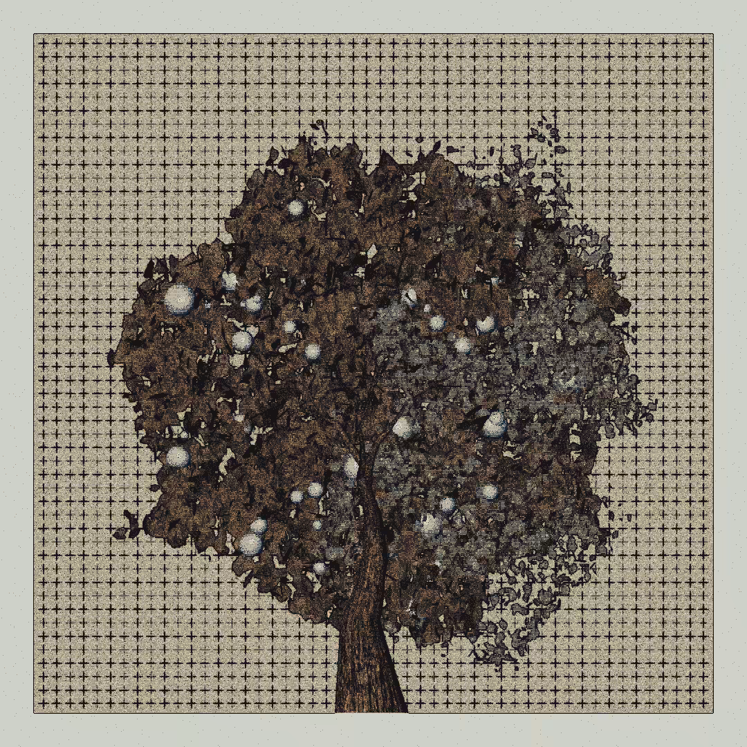 _argania[primaria] #214