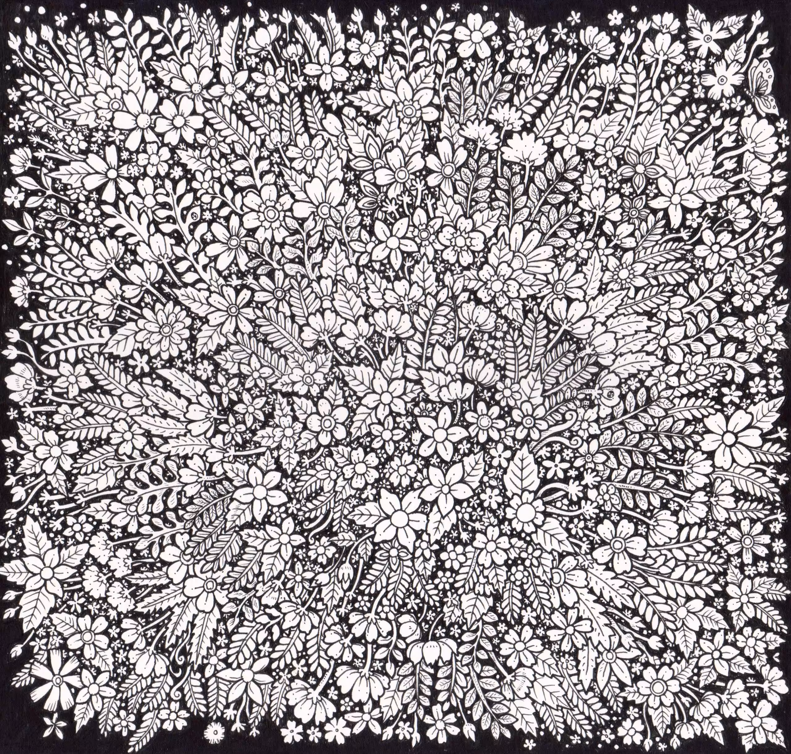 Floral 