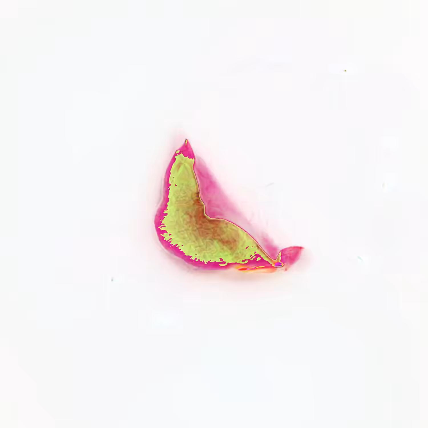 Infinite Petals 1x1#25