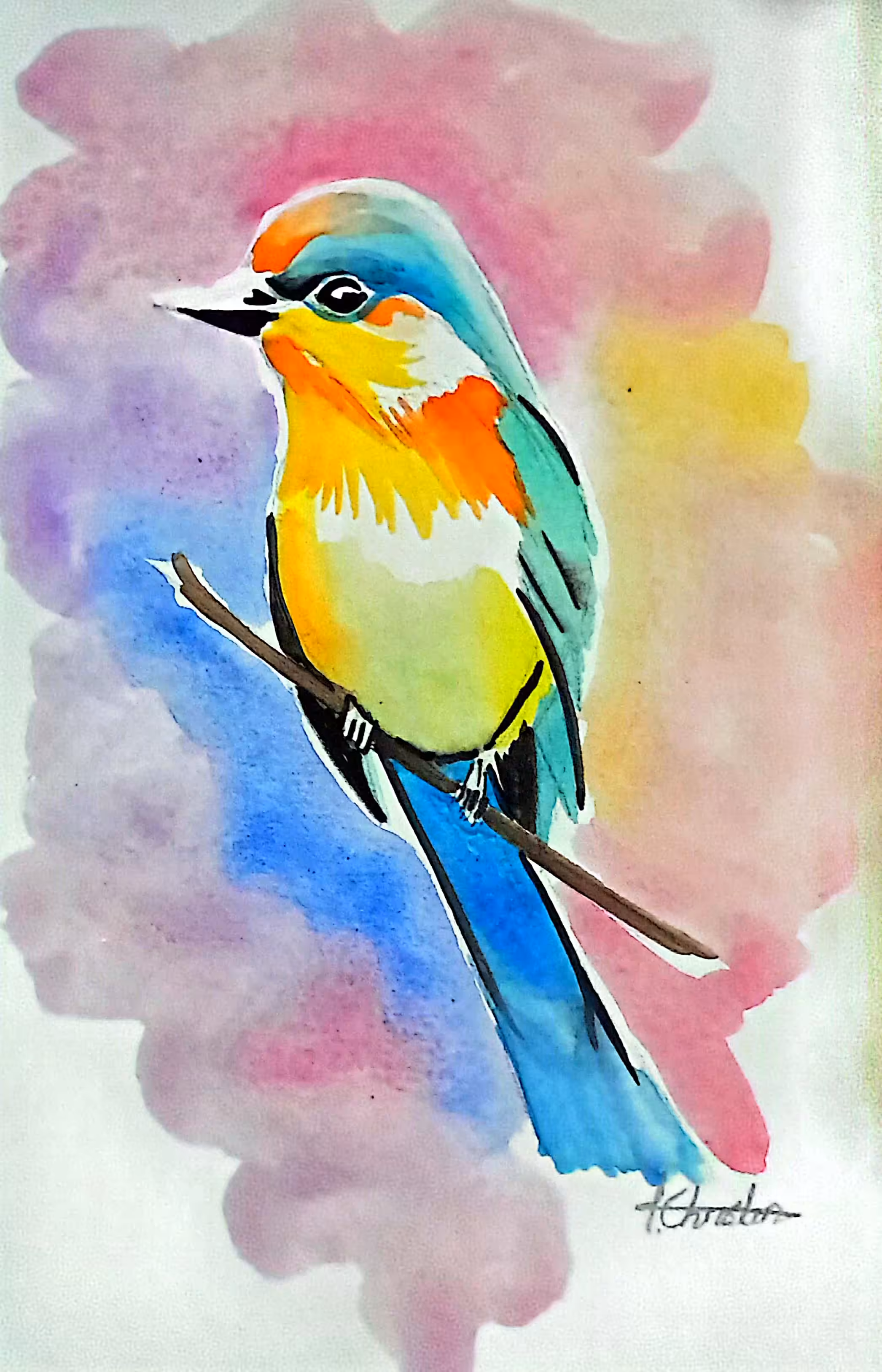 Colorful Bird 🕊